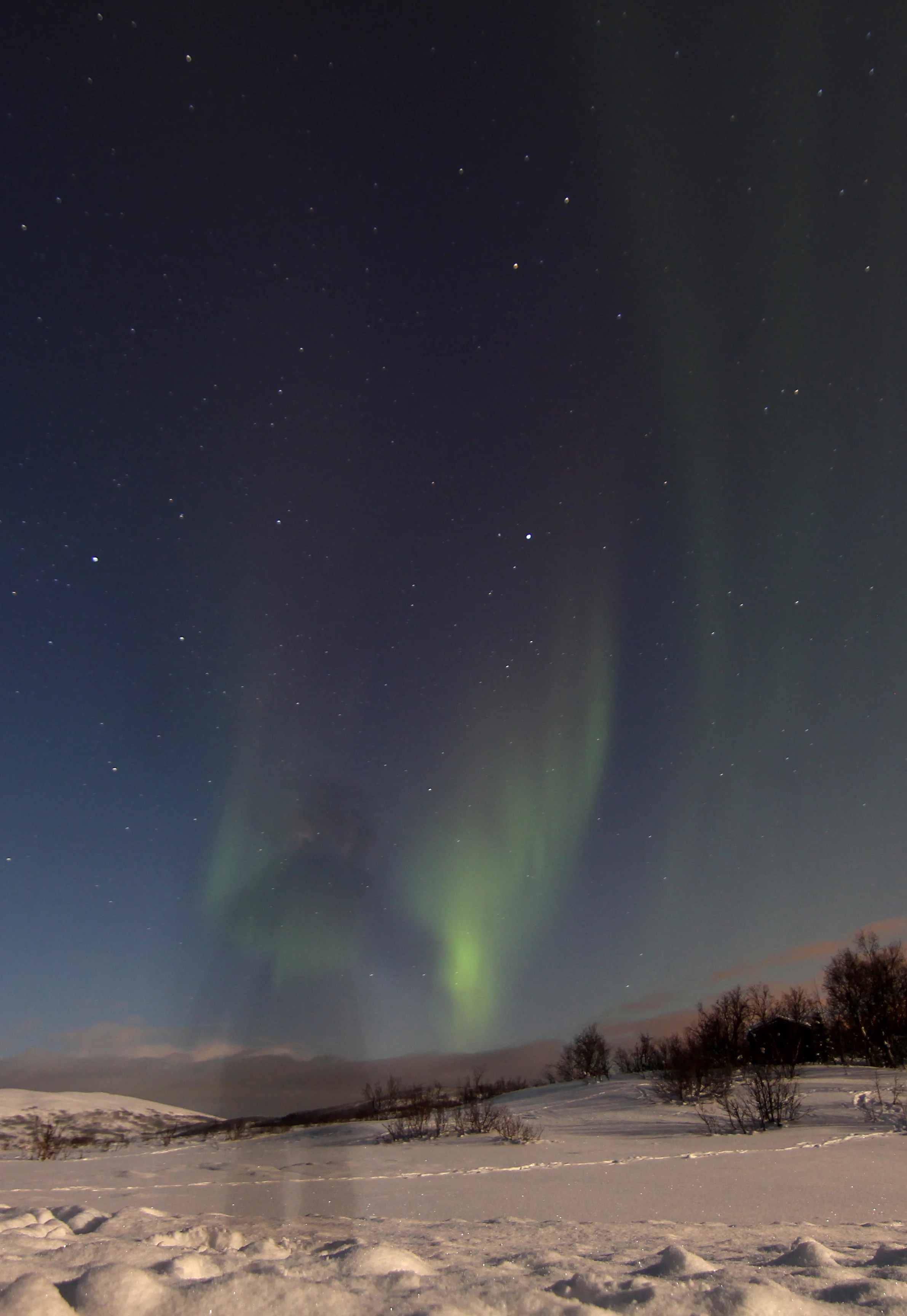 northern lights near tromso norway