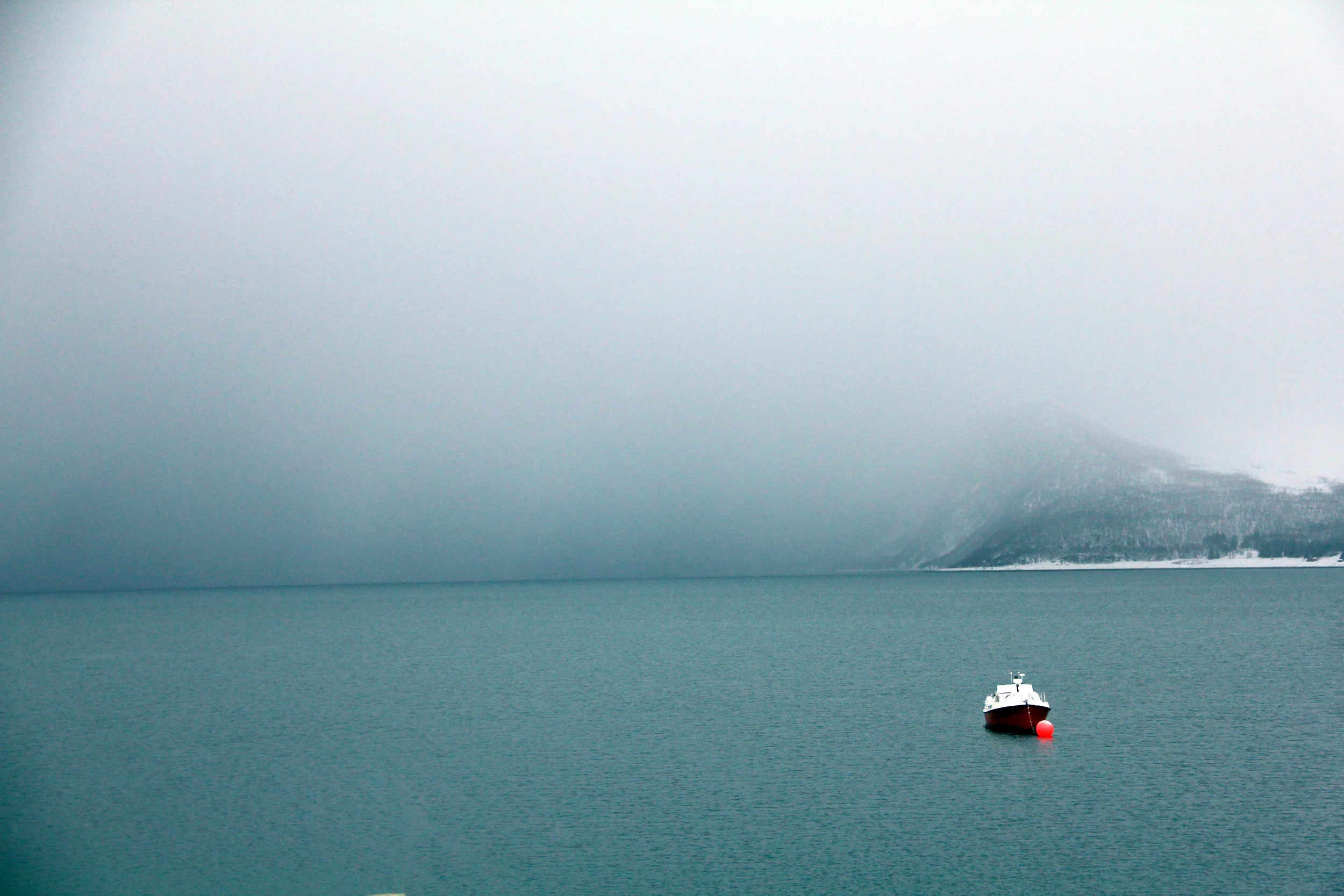 foggy waters at sommaroya norway
