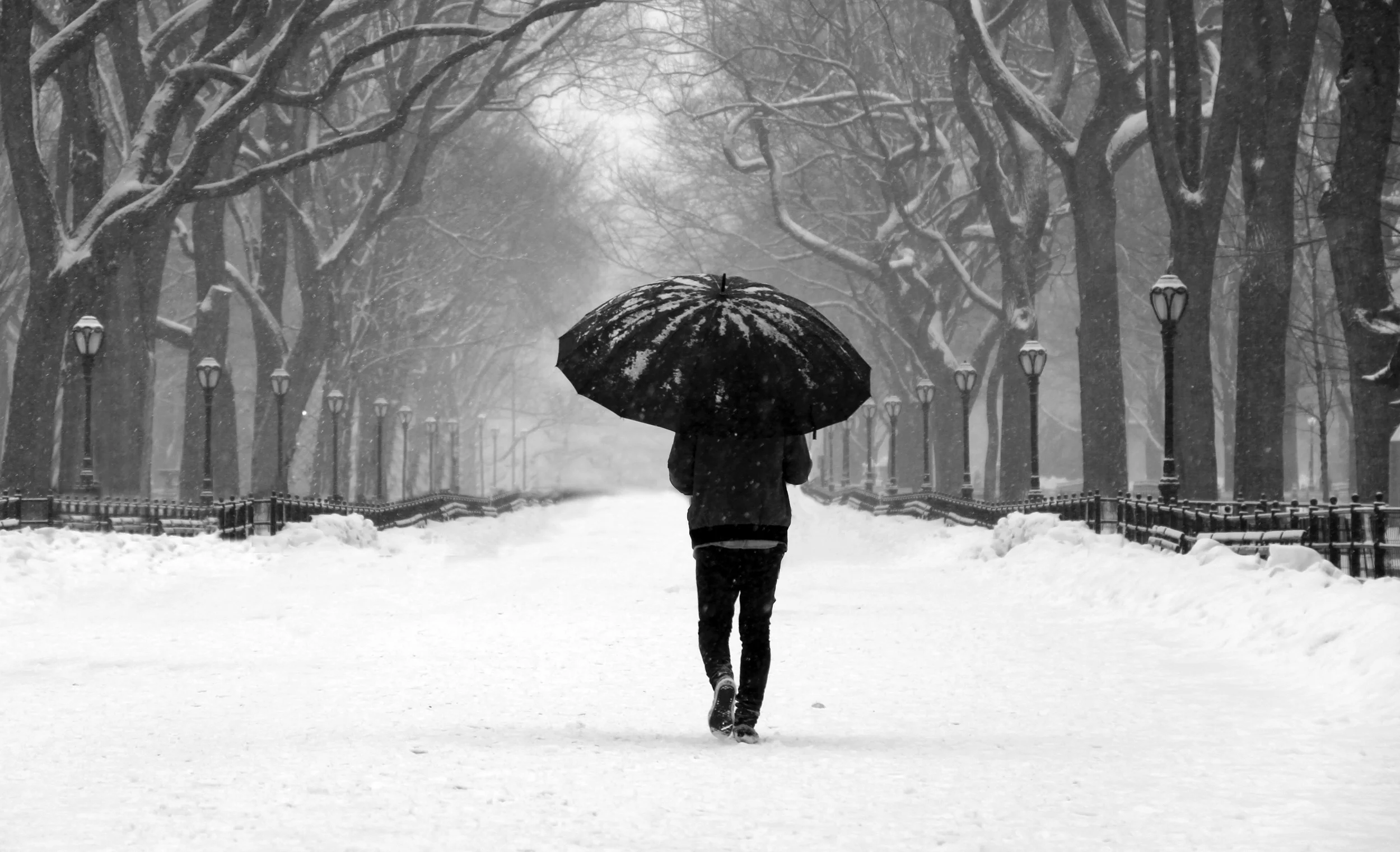 IMG_2585bw.jpg