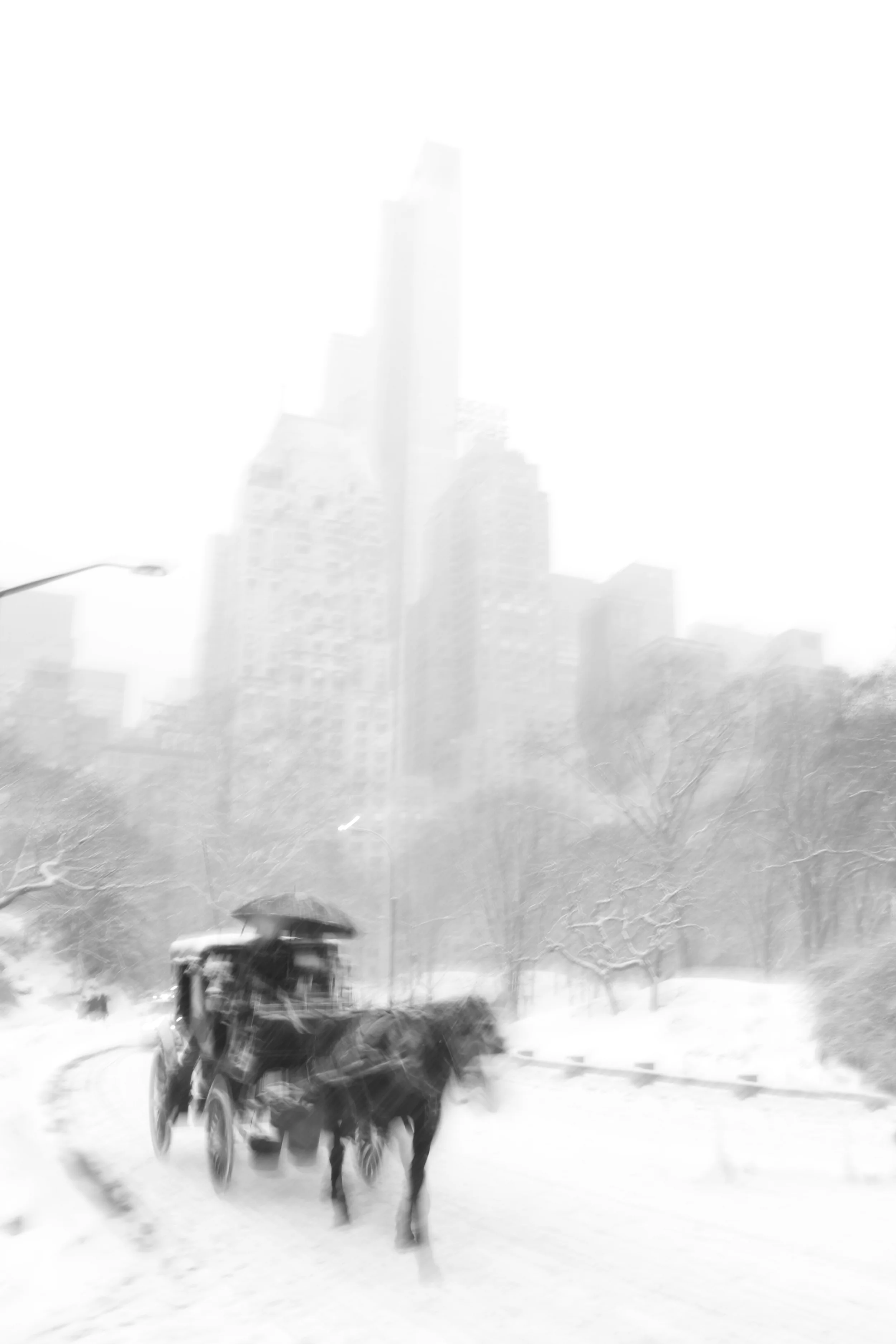 IMG_2589bw.jpg