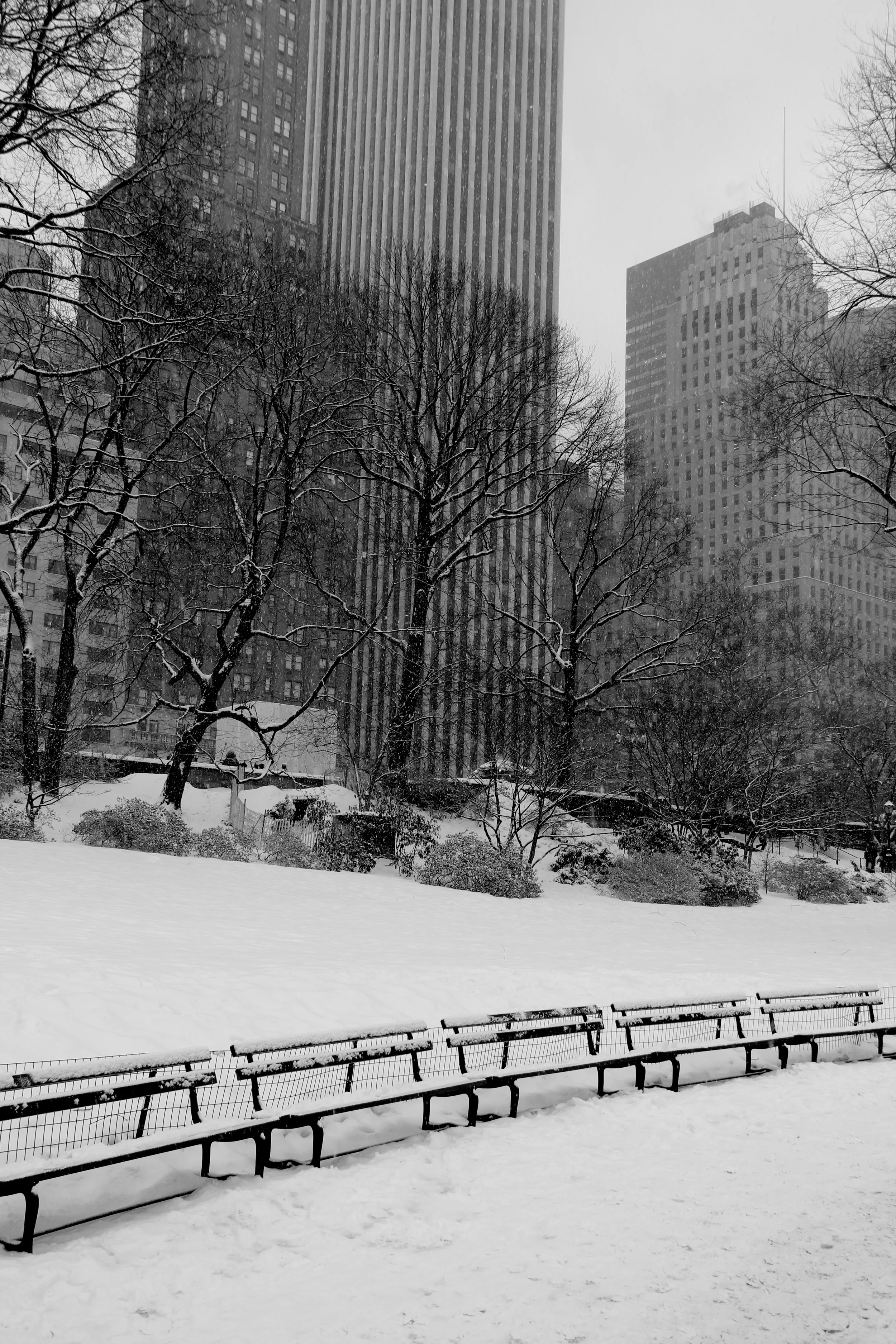 IMG_2599bw.jpg