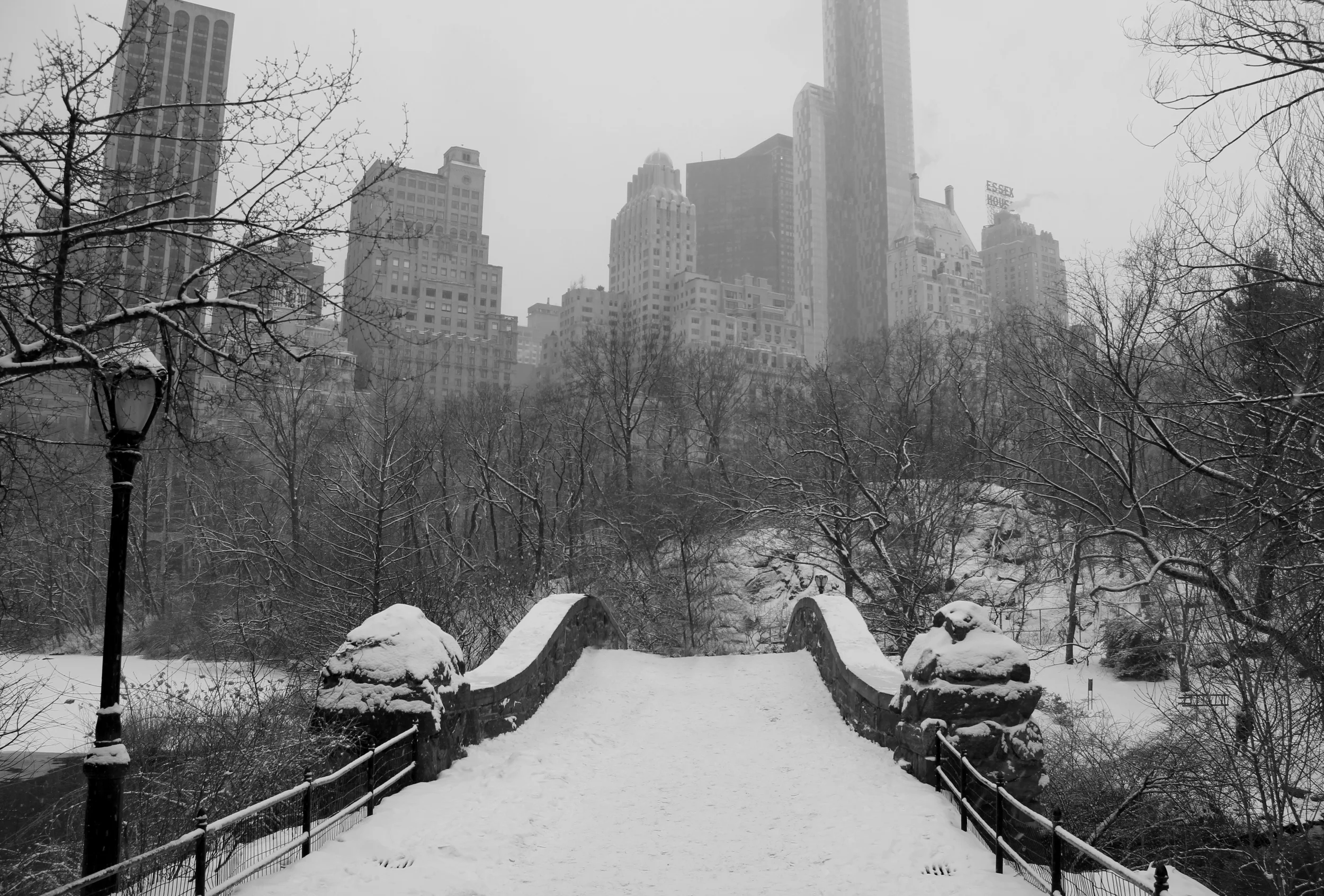 IMG_2601bw.jpg