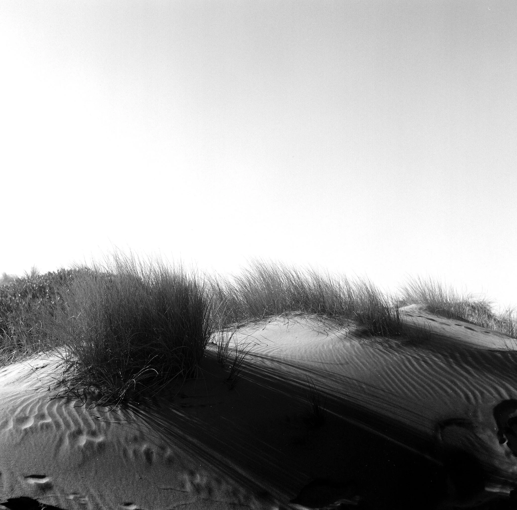 36030011.JPG