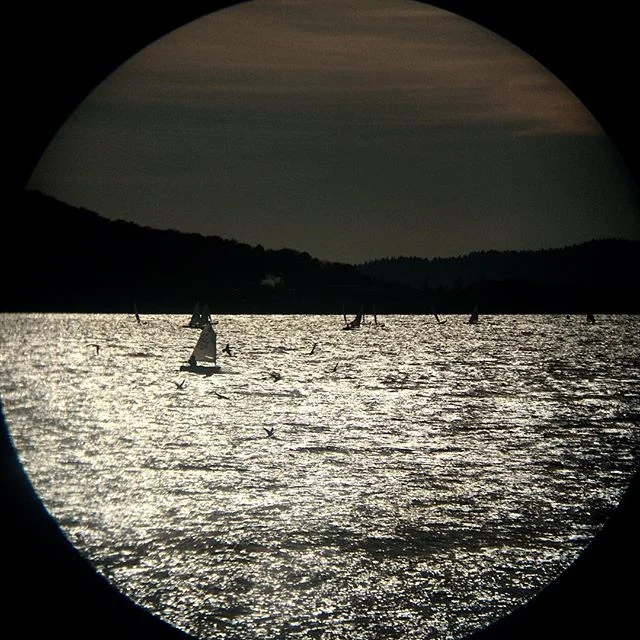 Golden Gardens Puget Sound Silver Water #pnw #sailboat #hightide #windbreaker