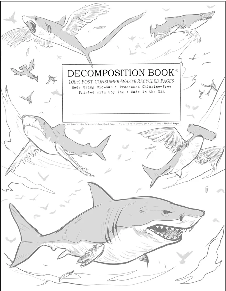 SharkBirds_Concept02.jpg
