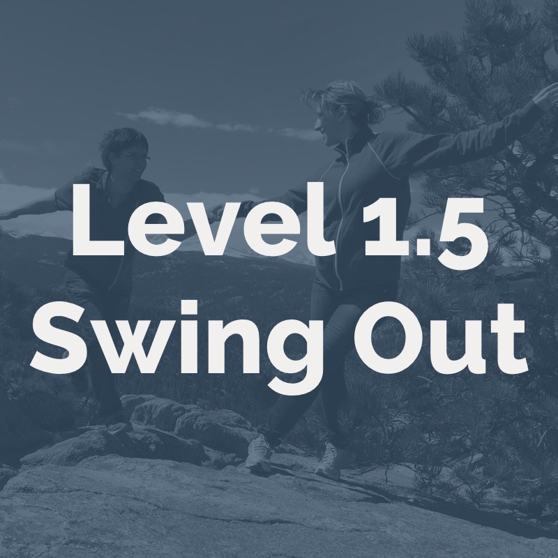 Level 1_5 Swing Outs.jpg
