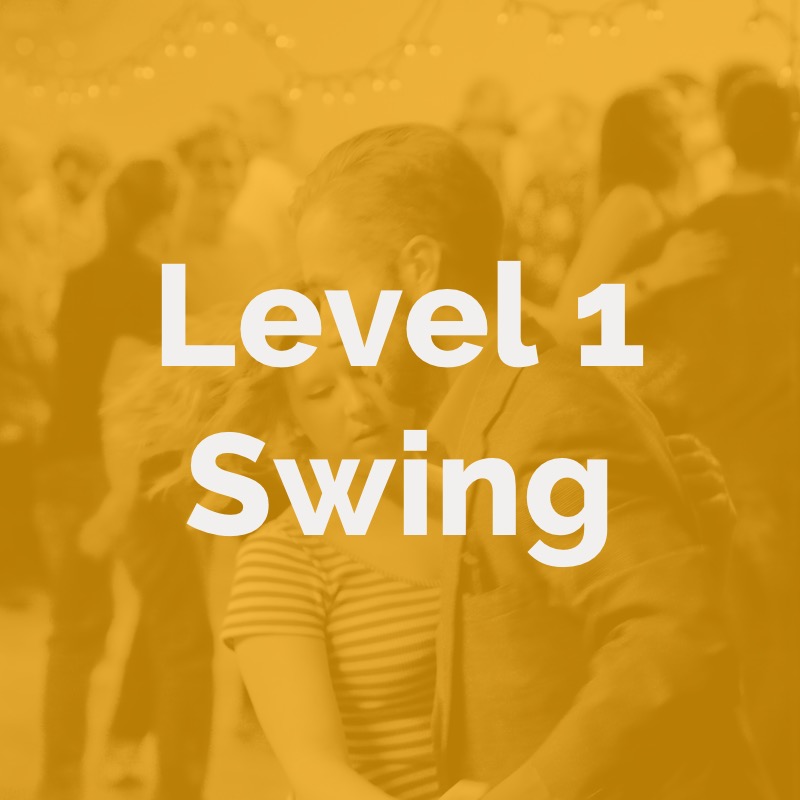 Level 1 Swing.jpg
