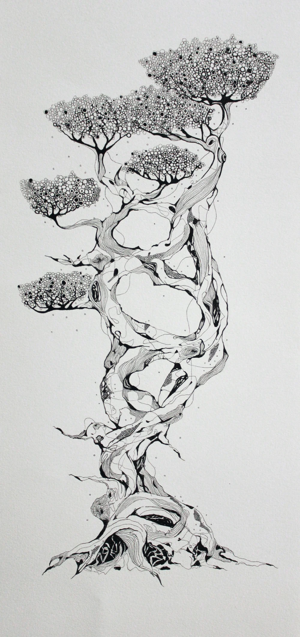 Bonsai Commission