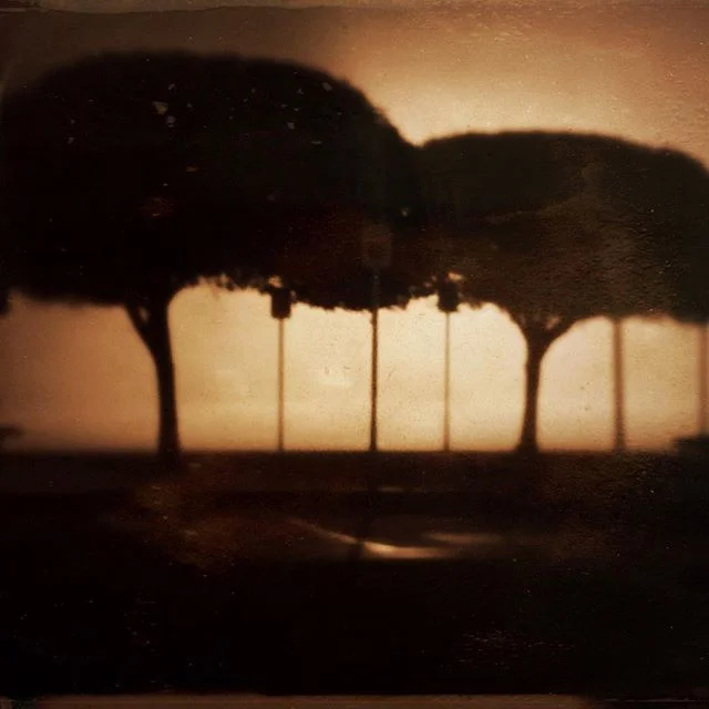 Walking the dog
.
.
.
.
.
#nocturne #fog #foggy #mood #moody #moodygrams #atmosphere #walkingthedog #abstract #landscapephotography
#naturephotography #canon6d
