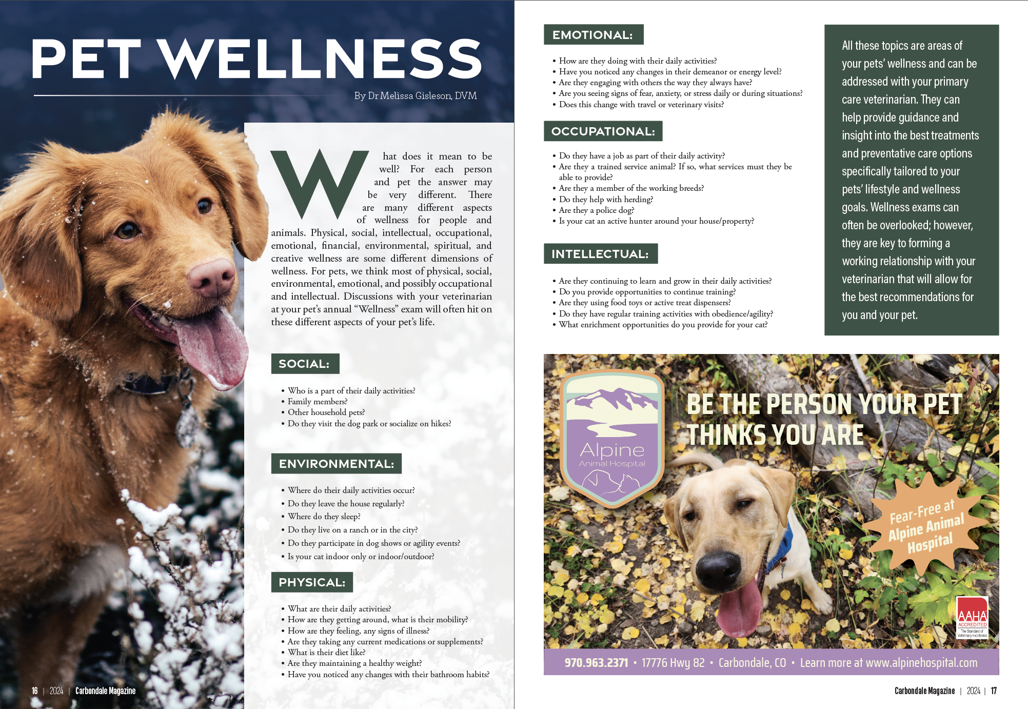 Screenshot 2026-03-17 at 3.54.24 PM.png