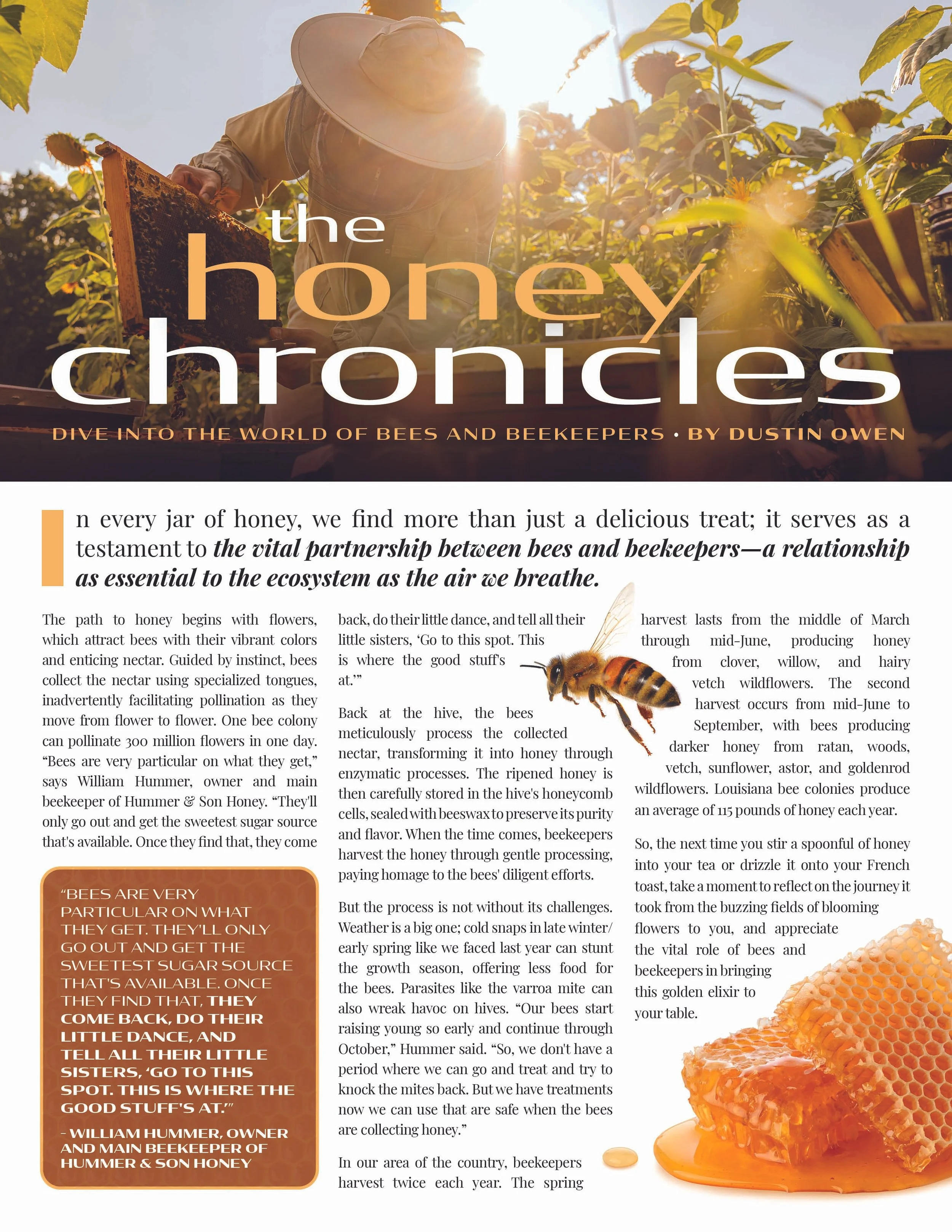 TheHoneyChronicles_Full.jpg