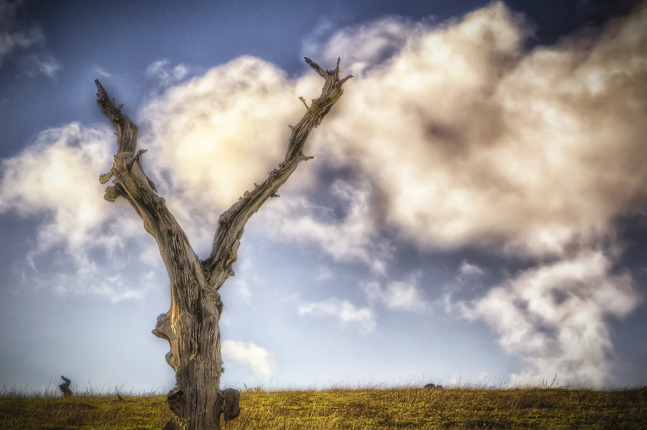 Capturing Drama in Your Landscapes: After the Rain Has Fallen