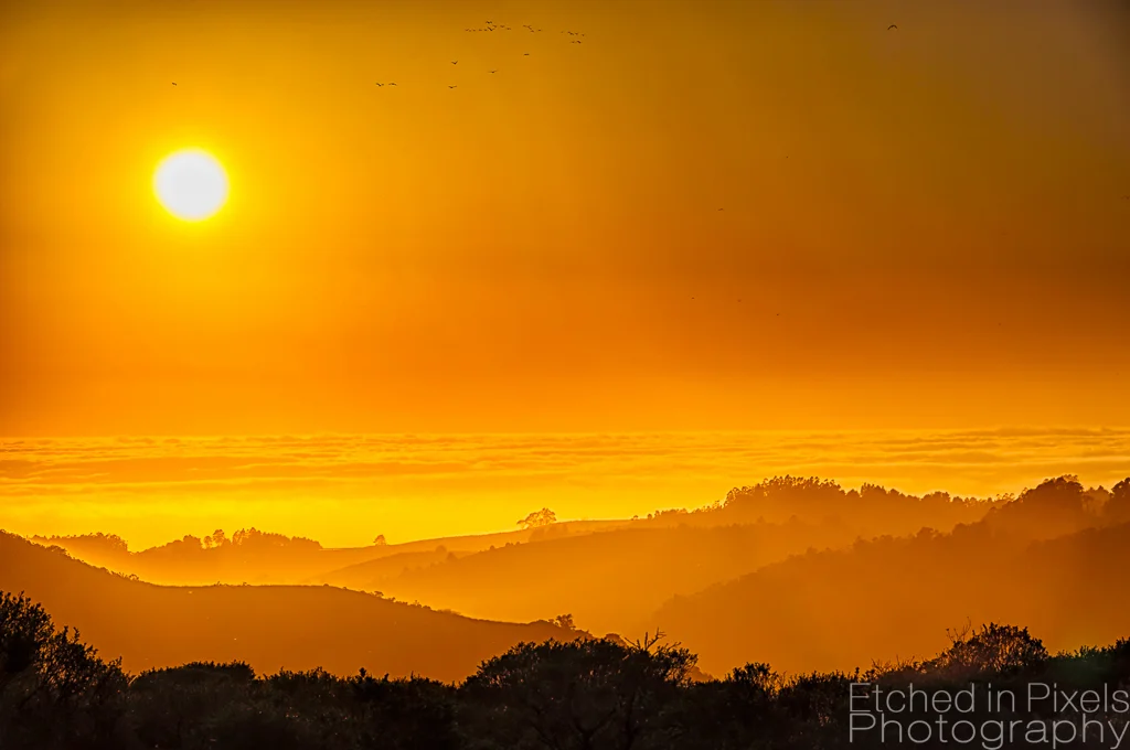 California Sunsets: Fog and Waves