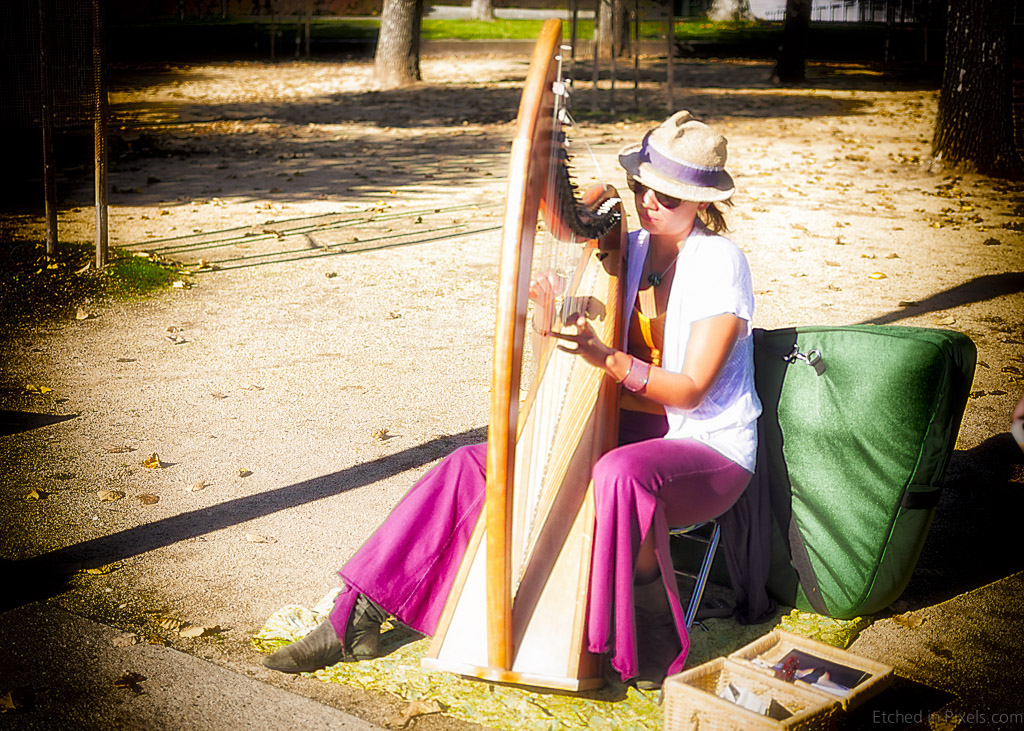 Harp Player in the Park