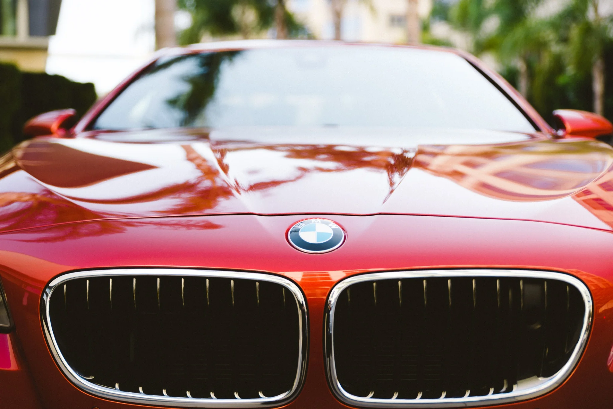 Red BMW car hood and grille