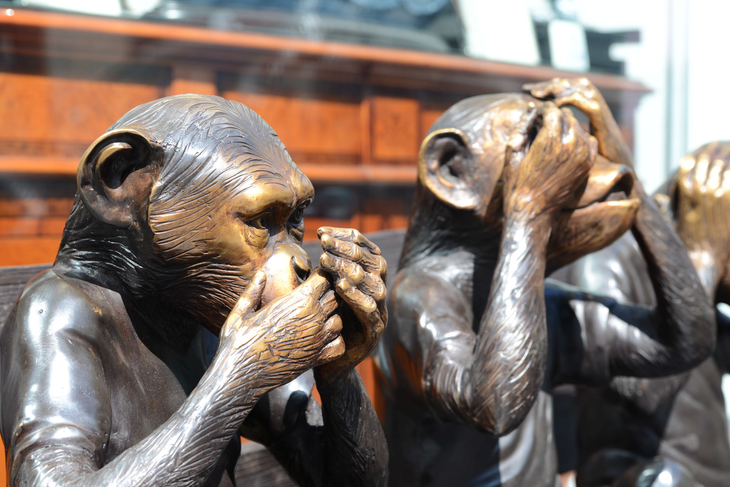 The chimps saw something HORRIBLE.