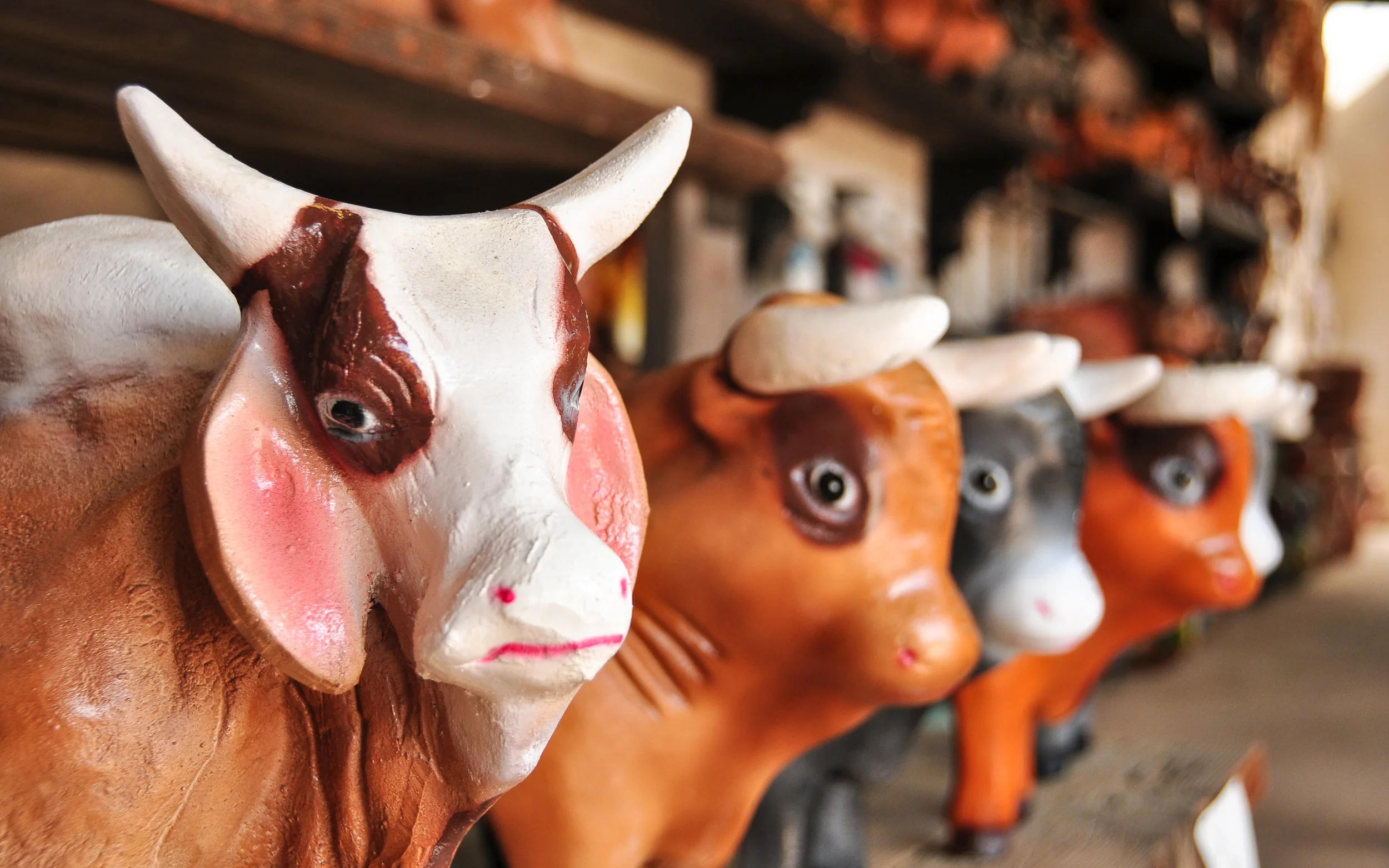 Cow Harbors Naught but Disdain