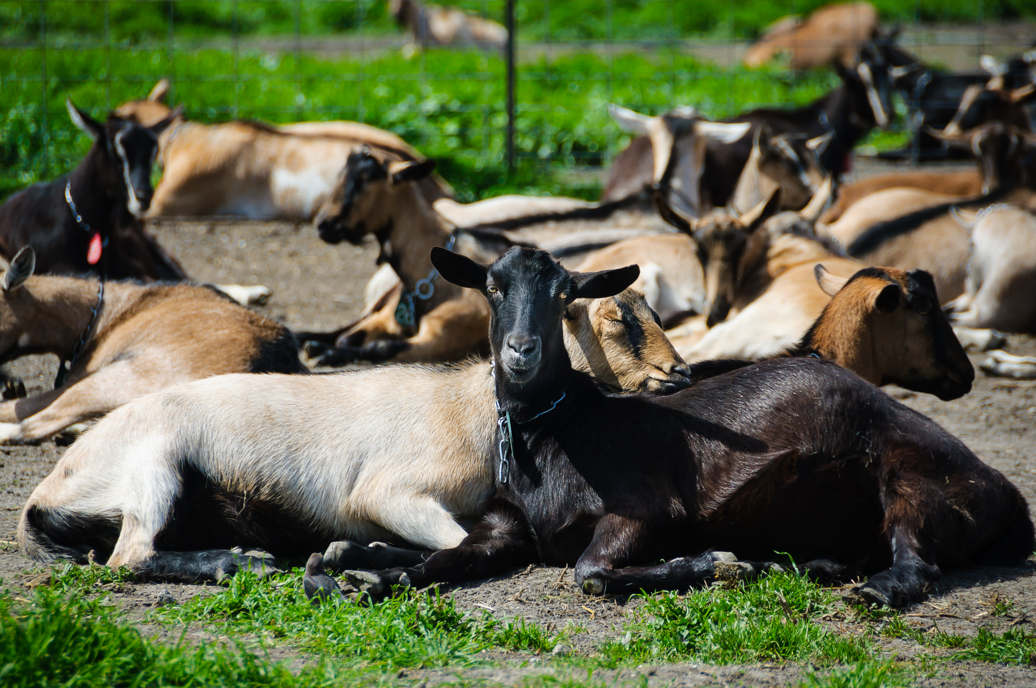 DSC_20130323_7133_web_4.jpg
