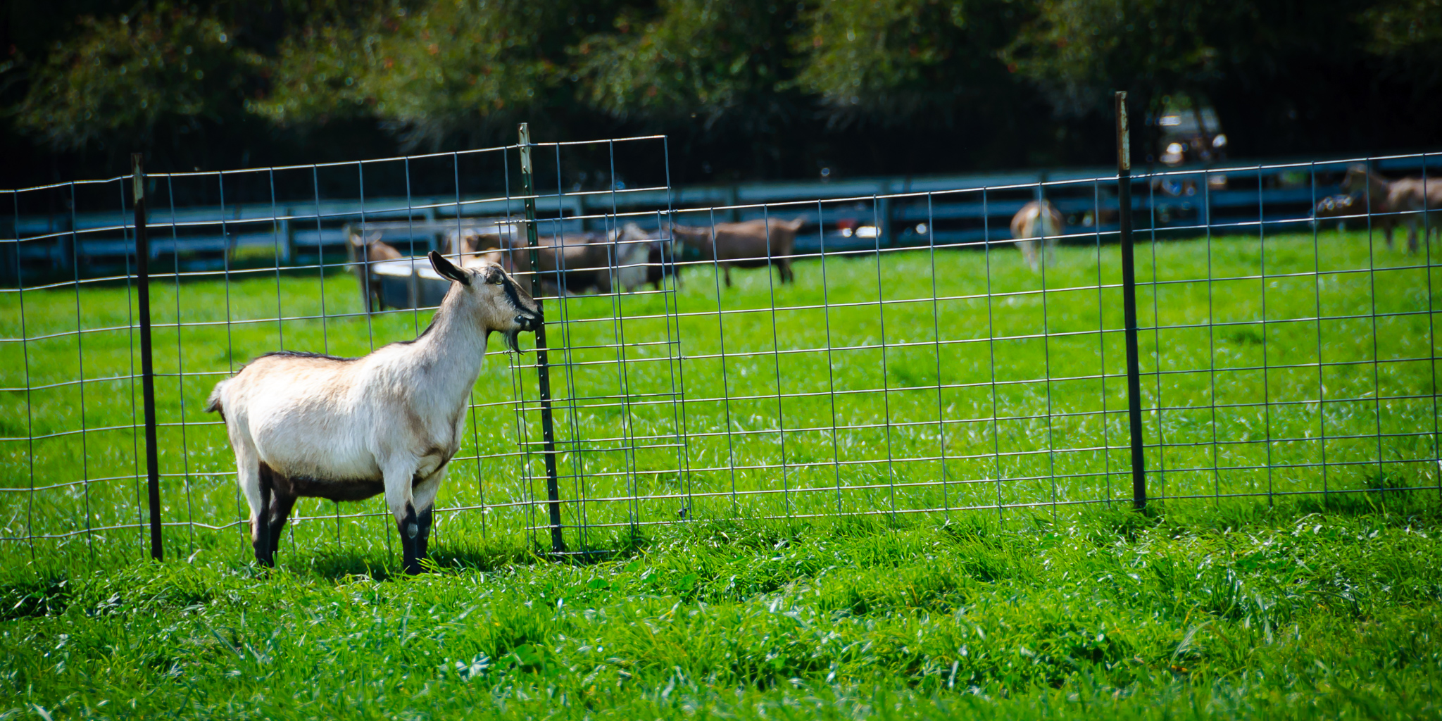 DSC_20130323_7139_web_5.jpg