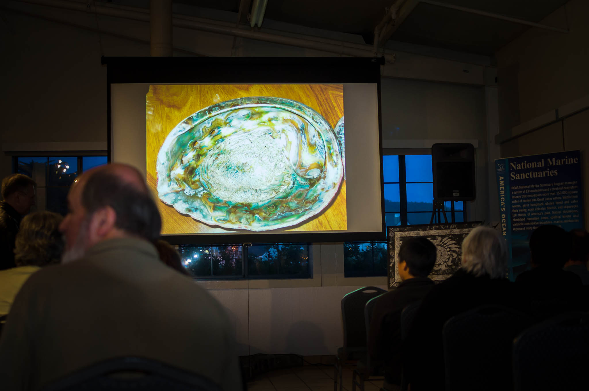 Abalone_Soiree11.jpg