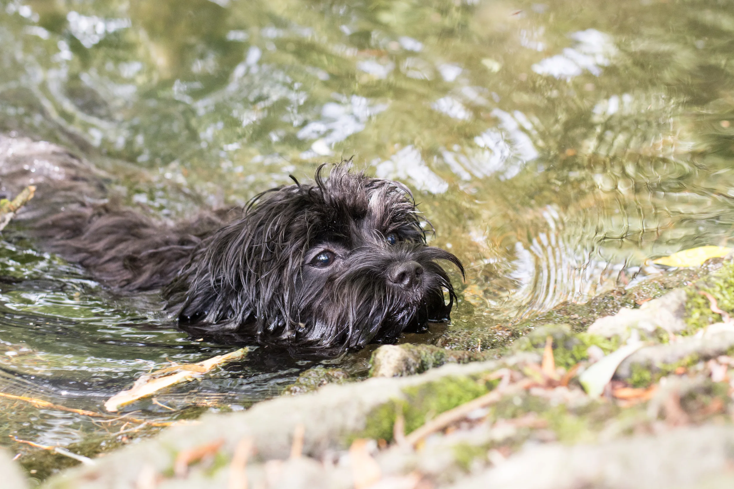 Bertie-046.jpg