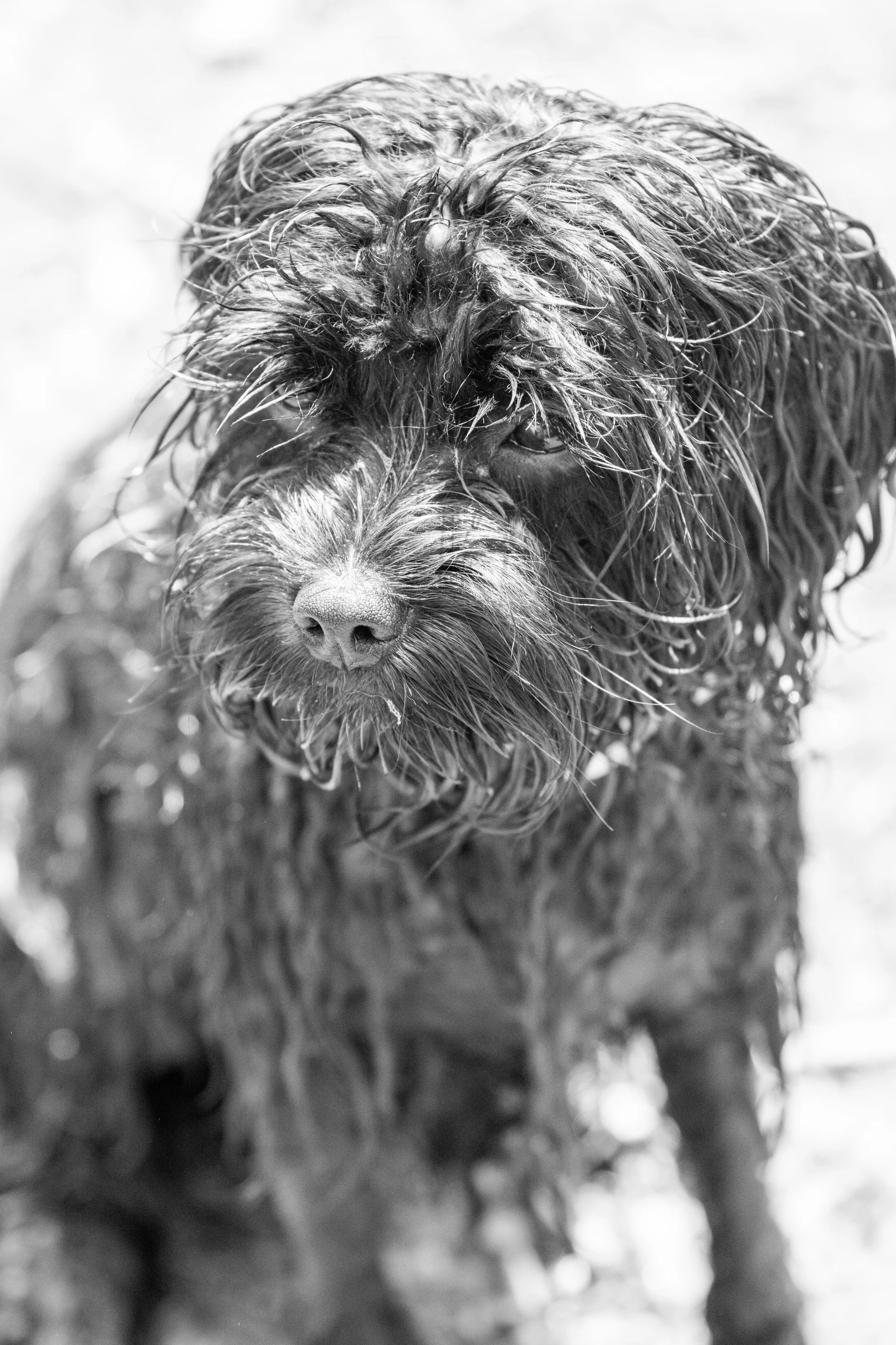 Bertie-049.jpg