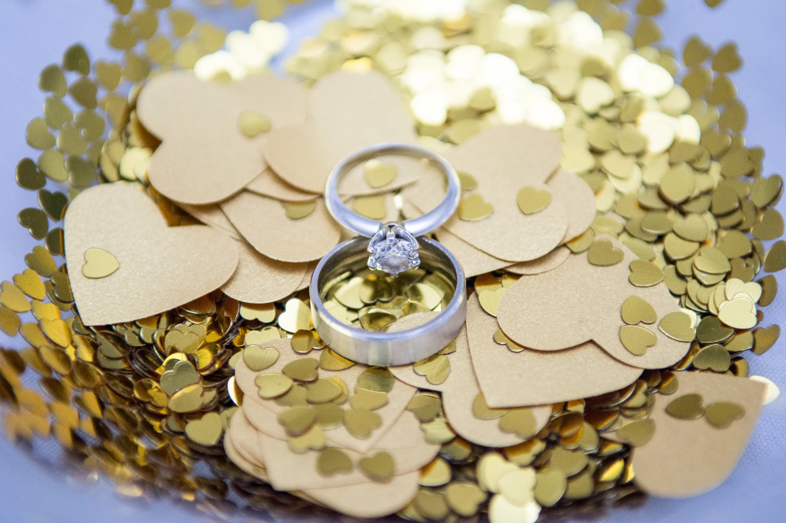 M&N's Engagement-002.JPG