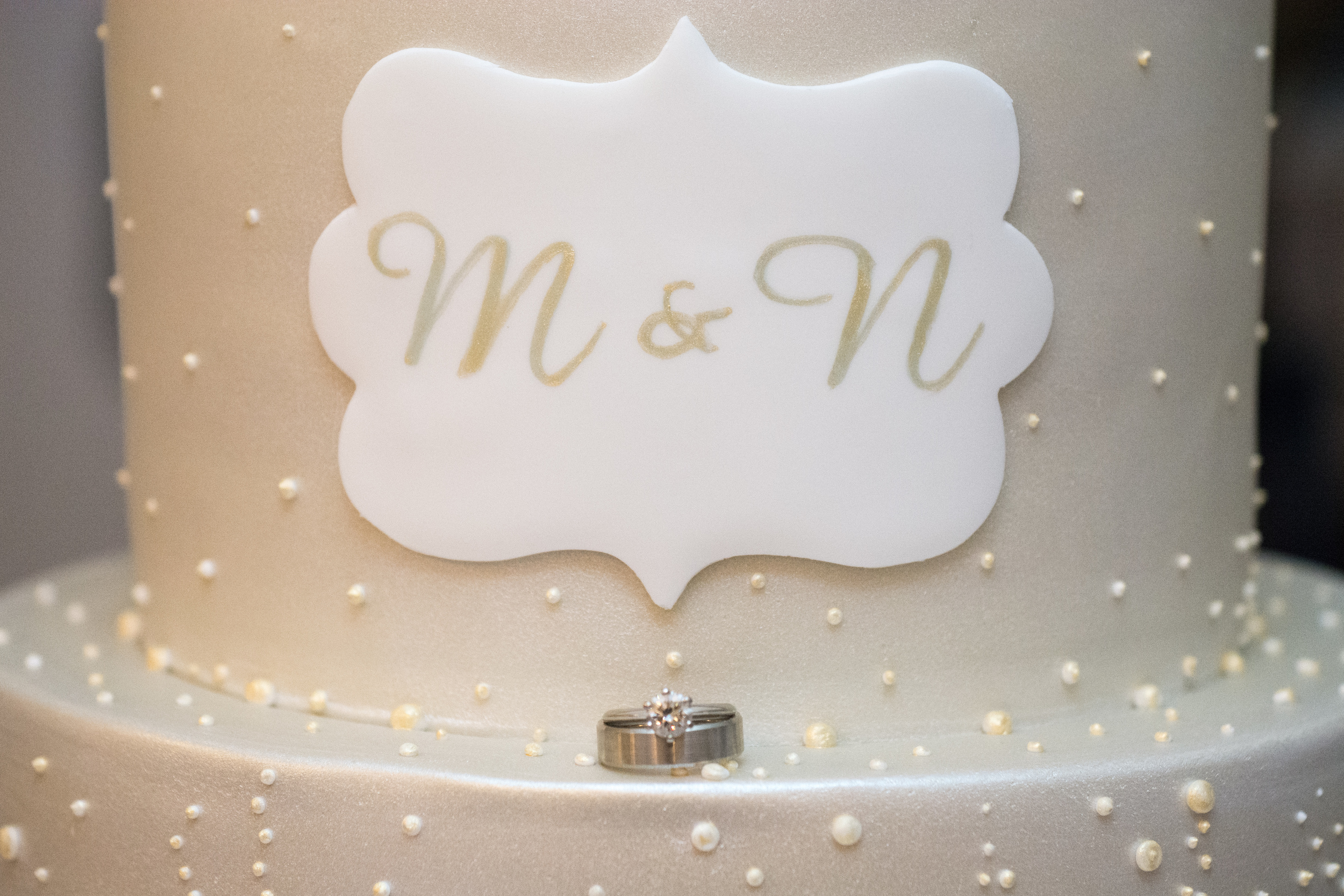 M&N's Engagement-011.JPG