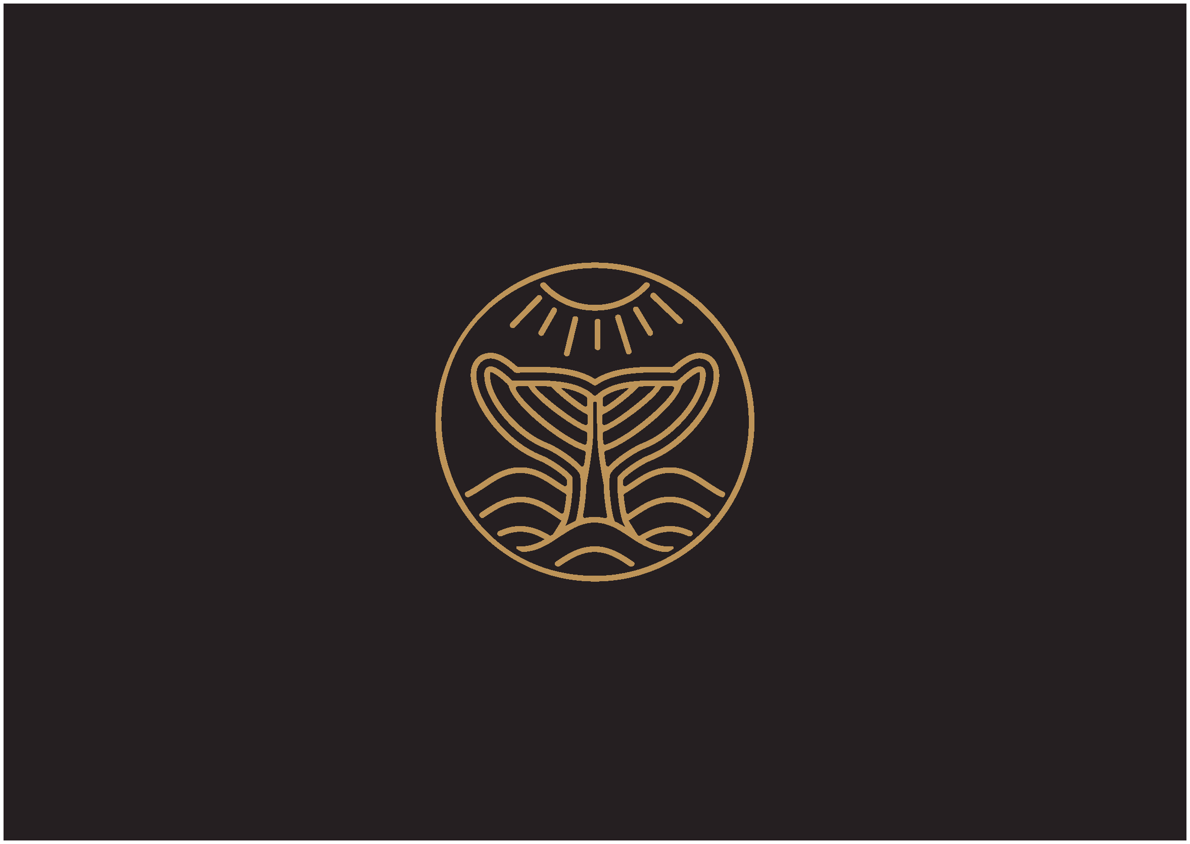 一羽鯨吞 VIS_20170715_頁面_02.png