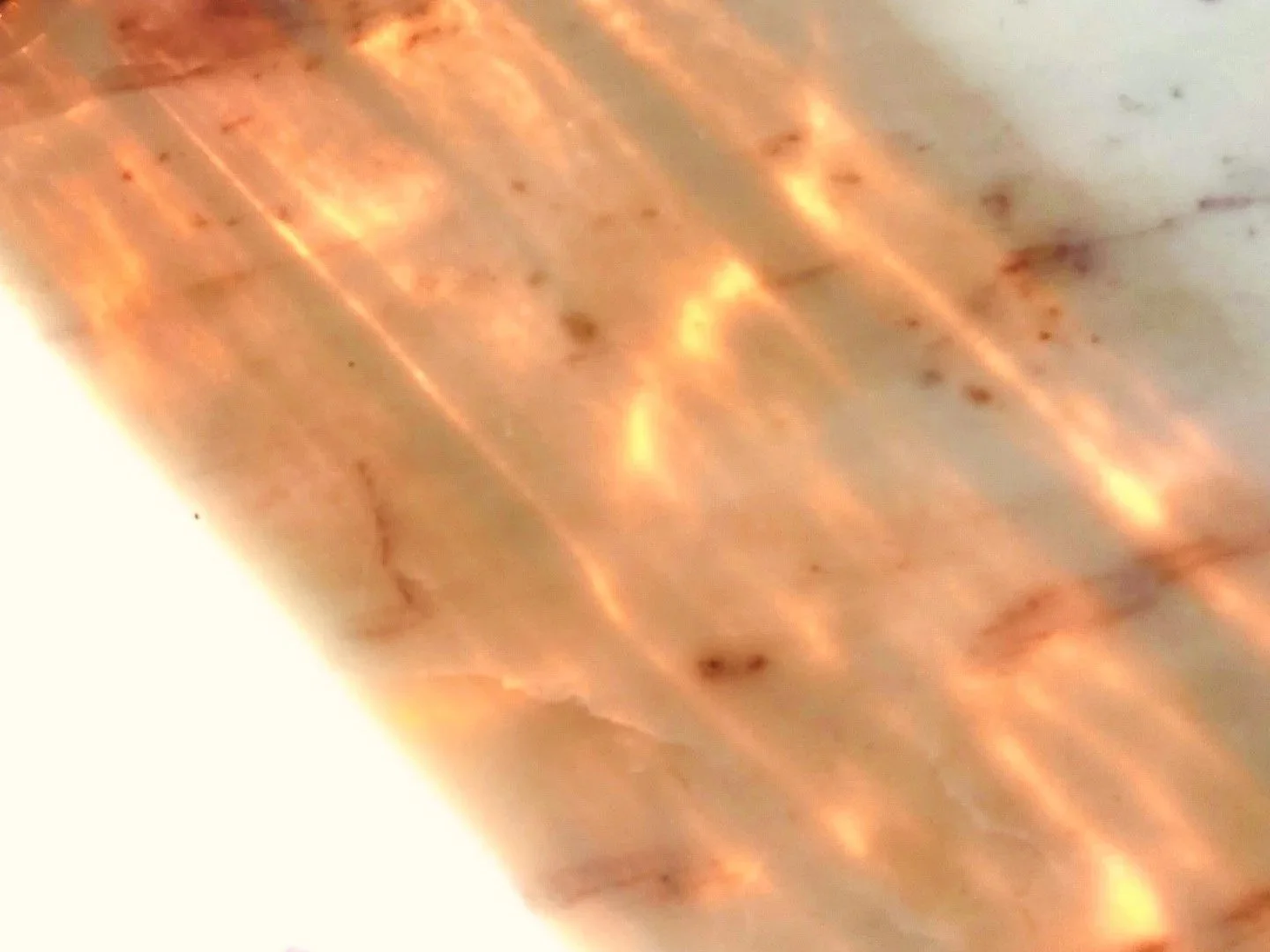 Reflected light illustrating Jodie Abrahams Nutrition and Skin services