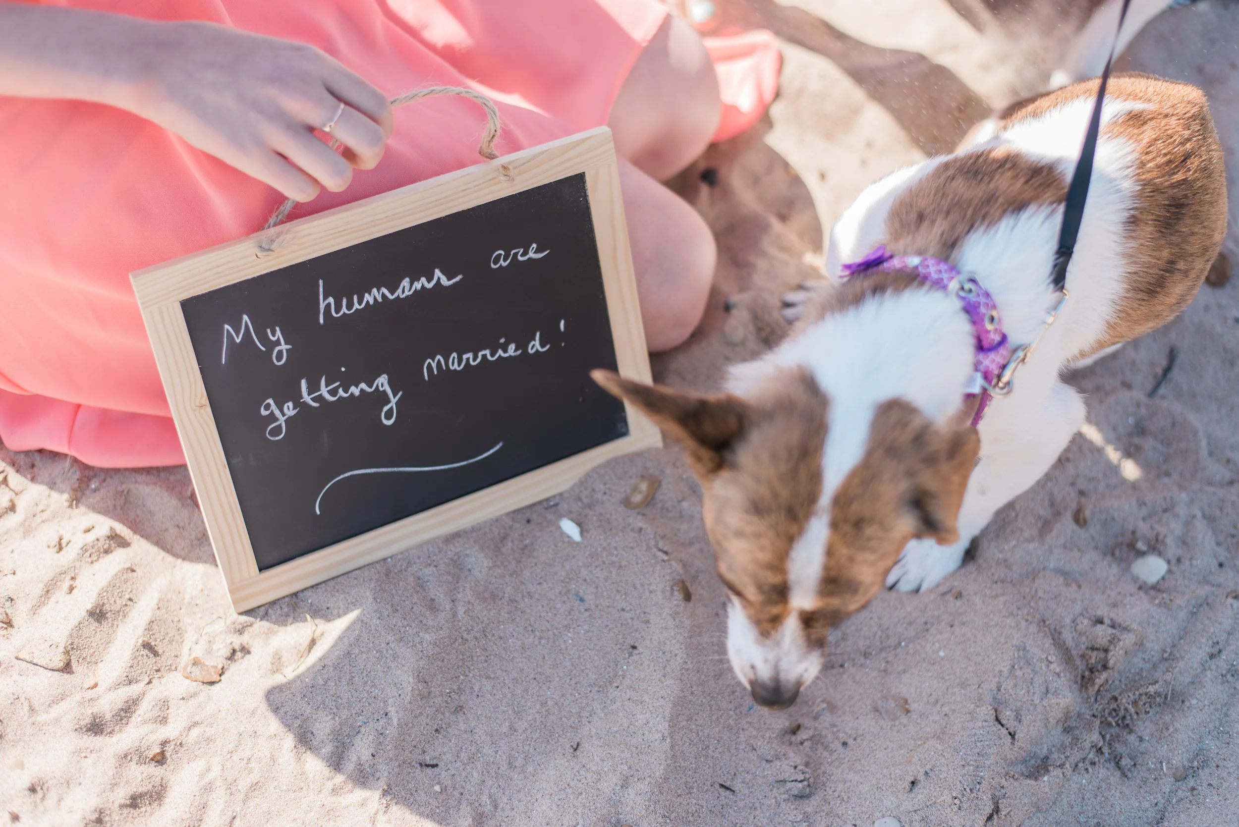 chelsea-bliefernicht-chicago-il-lane-beach-engagement-photographer
