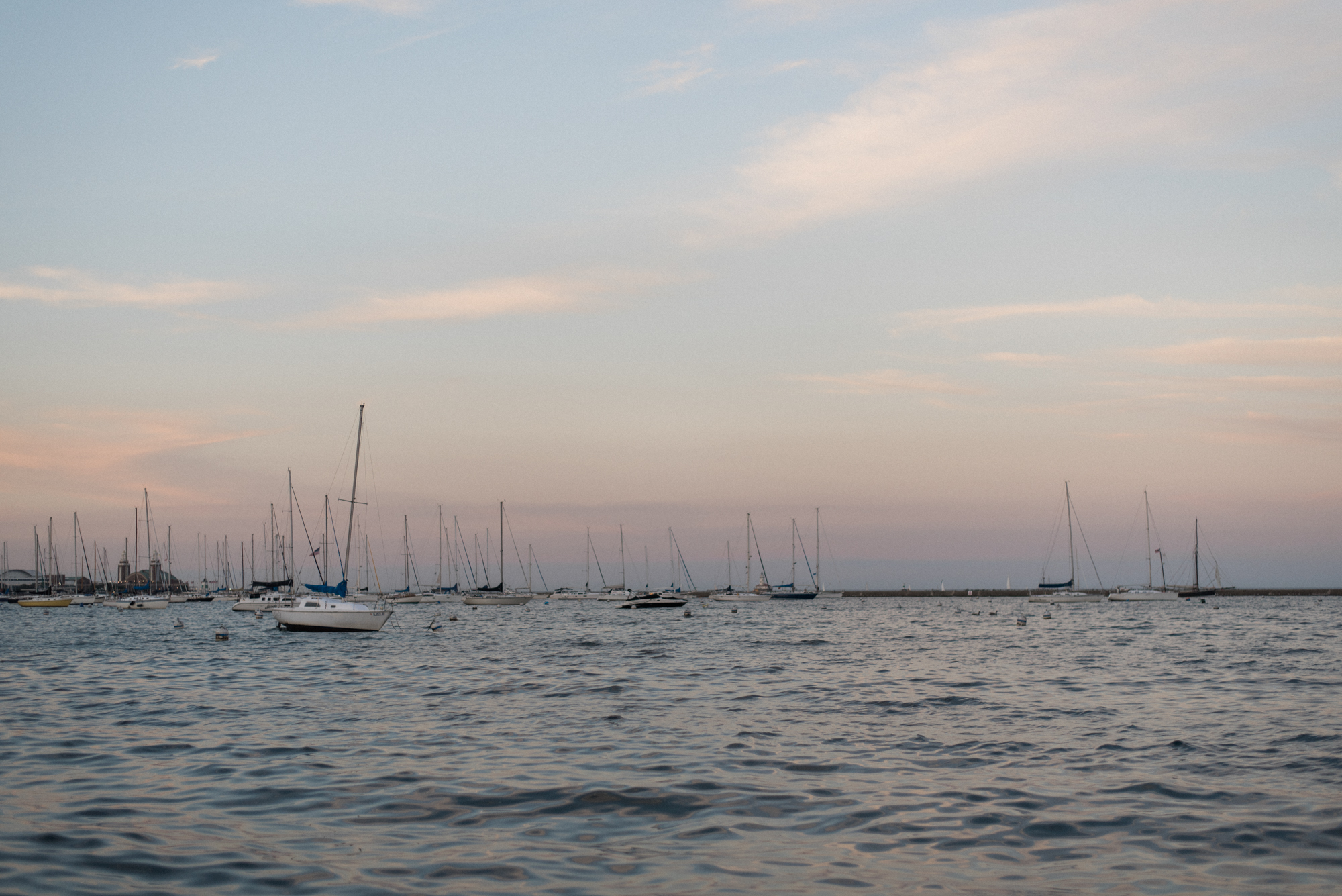 Chelsea Bliefernicht | Chicago Photographer