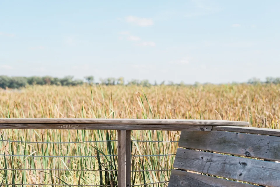 Chelsea Bliefernicht | Madison WI Wedding Photographer | Edgewood College Boardwalk Ceremony