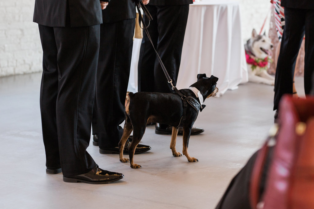 Room 1520 Chicago Wedding