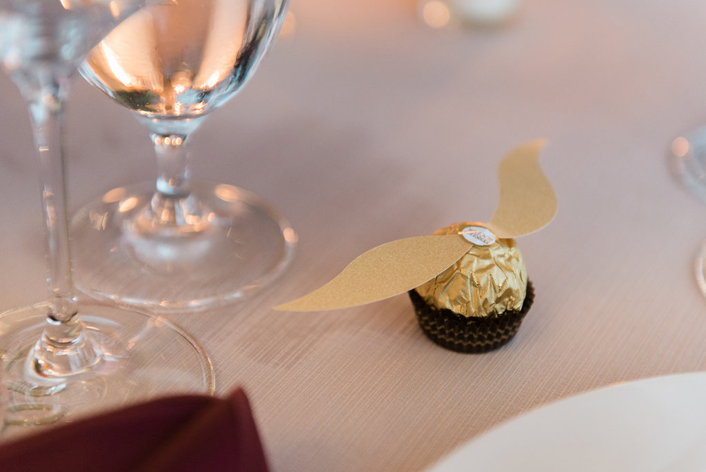 Room 1520 Harry Potter Chicago Wedding