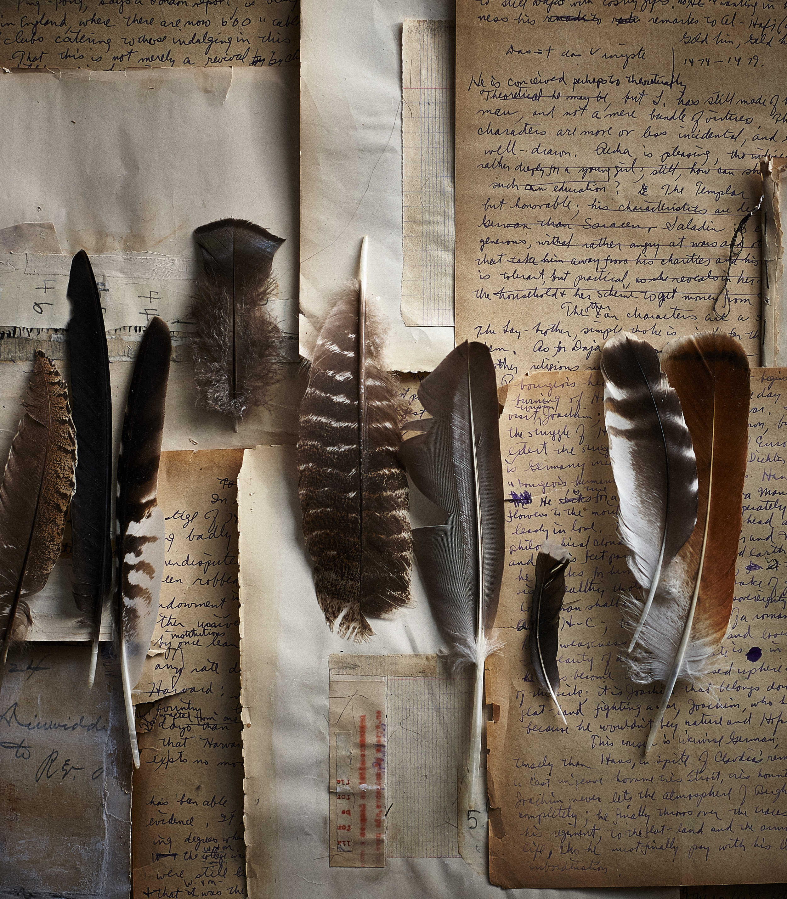 2016_01_25_feathers_30.jpg