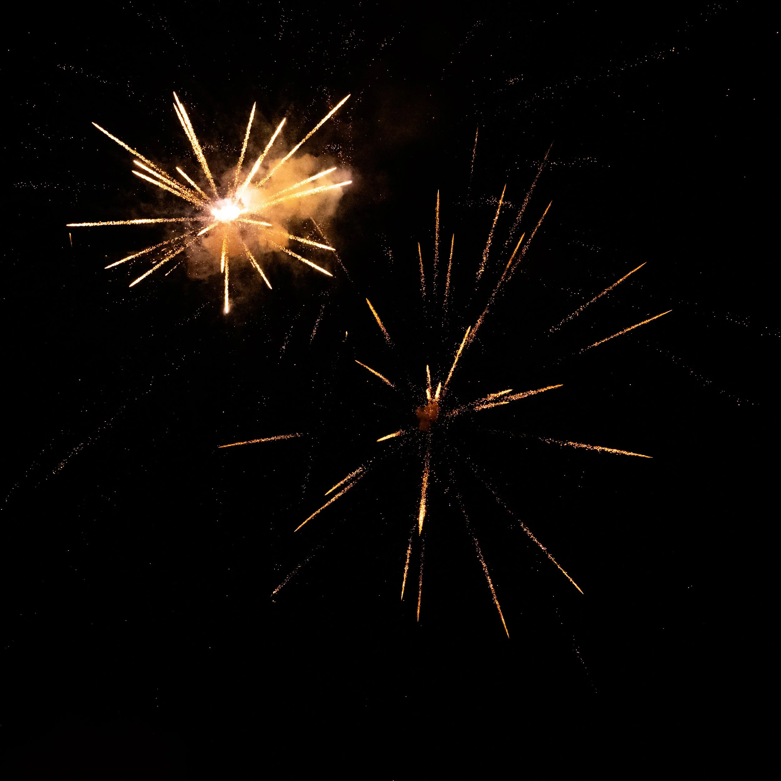 DSC_1807.jpg