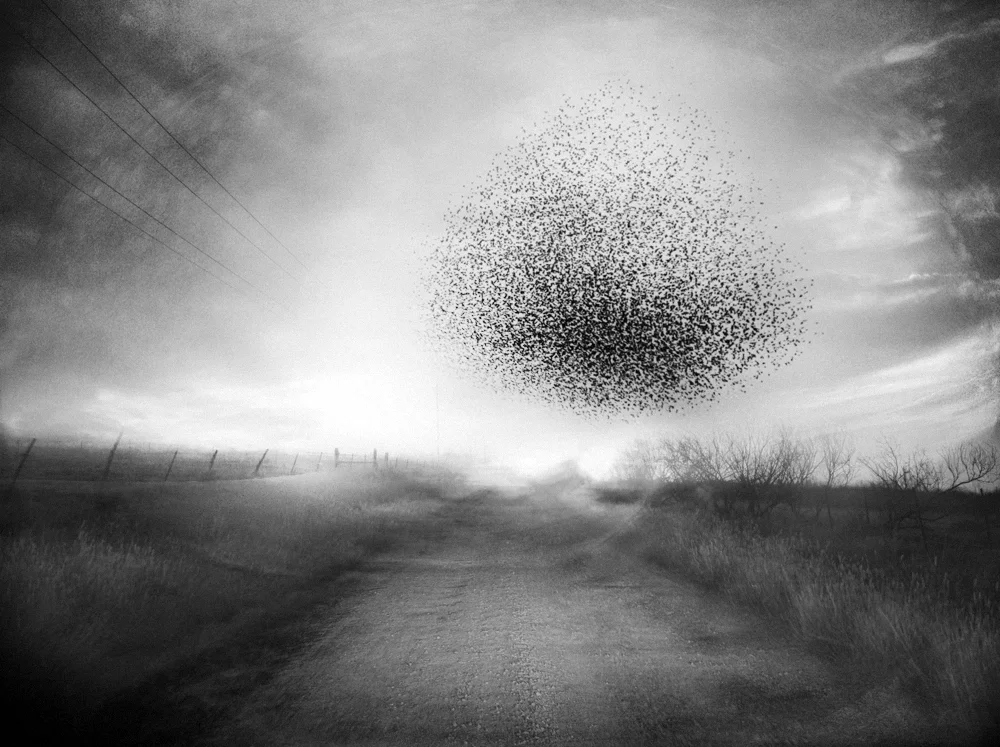 a murmur of wholeness