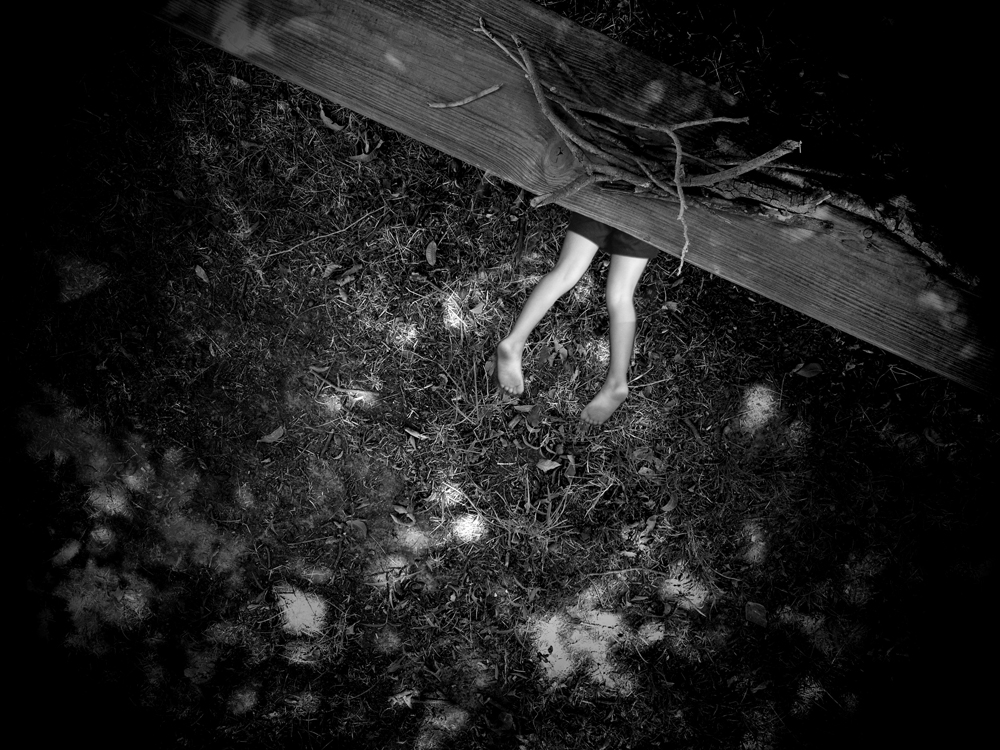 legs and sticks