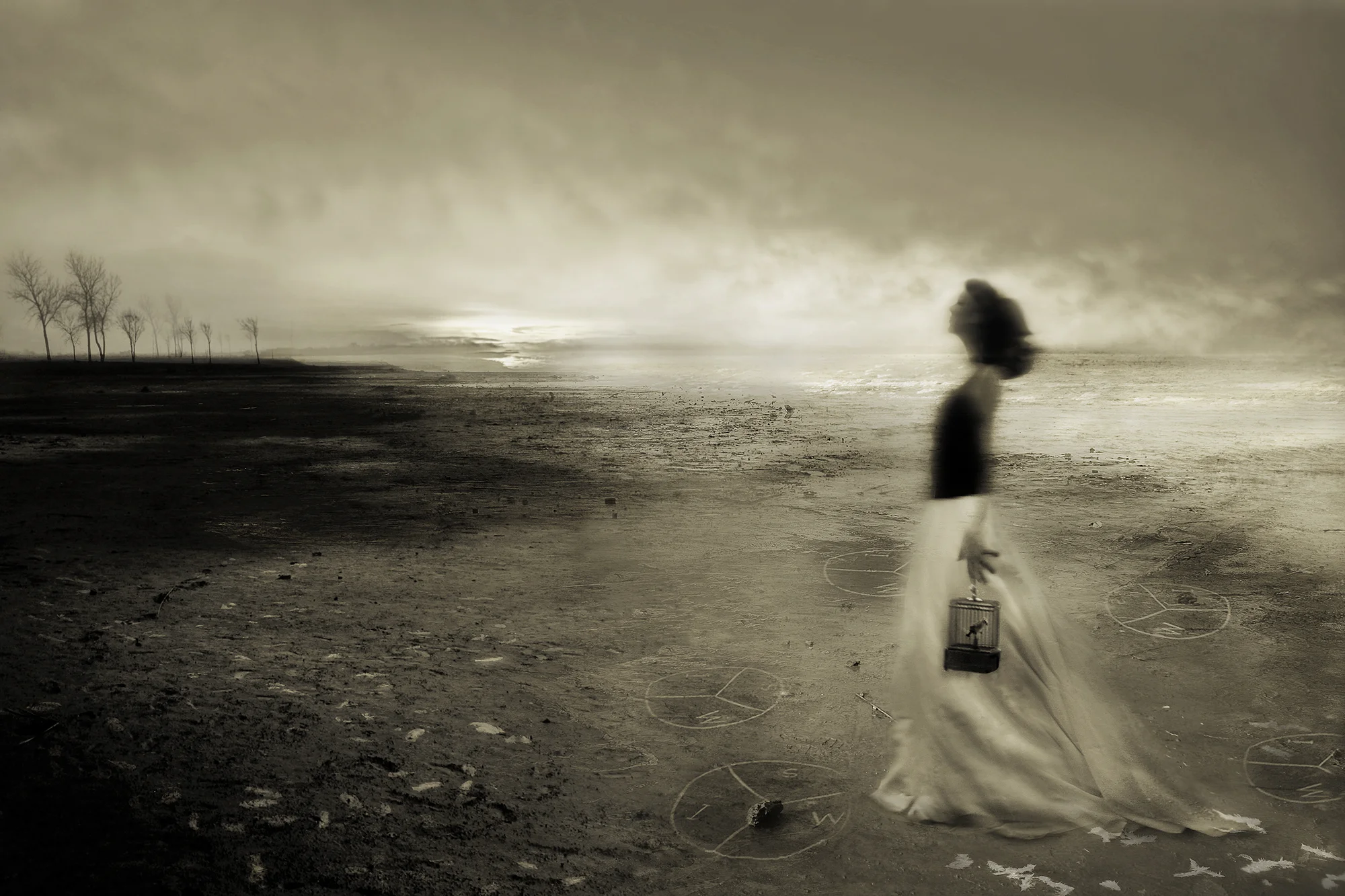 "wishing to fly" 2008