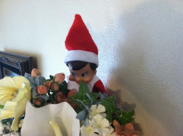 Elf on the Shelf: Day 6, 2012