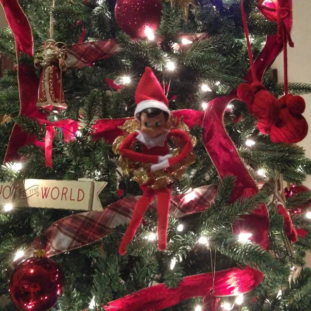 Elf on the Shelf: Day 1, 2013