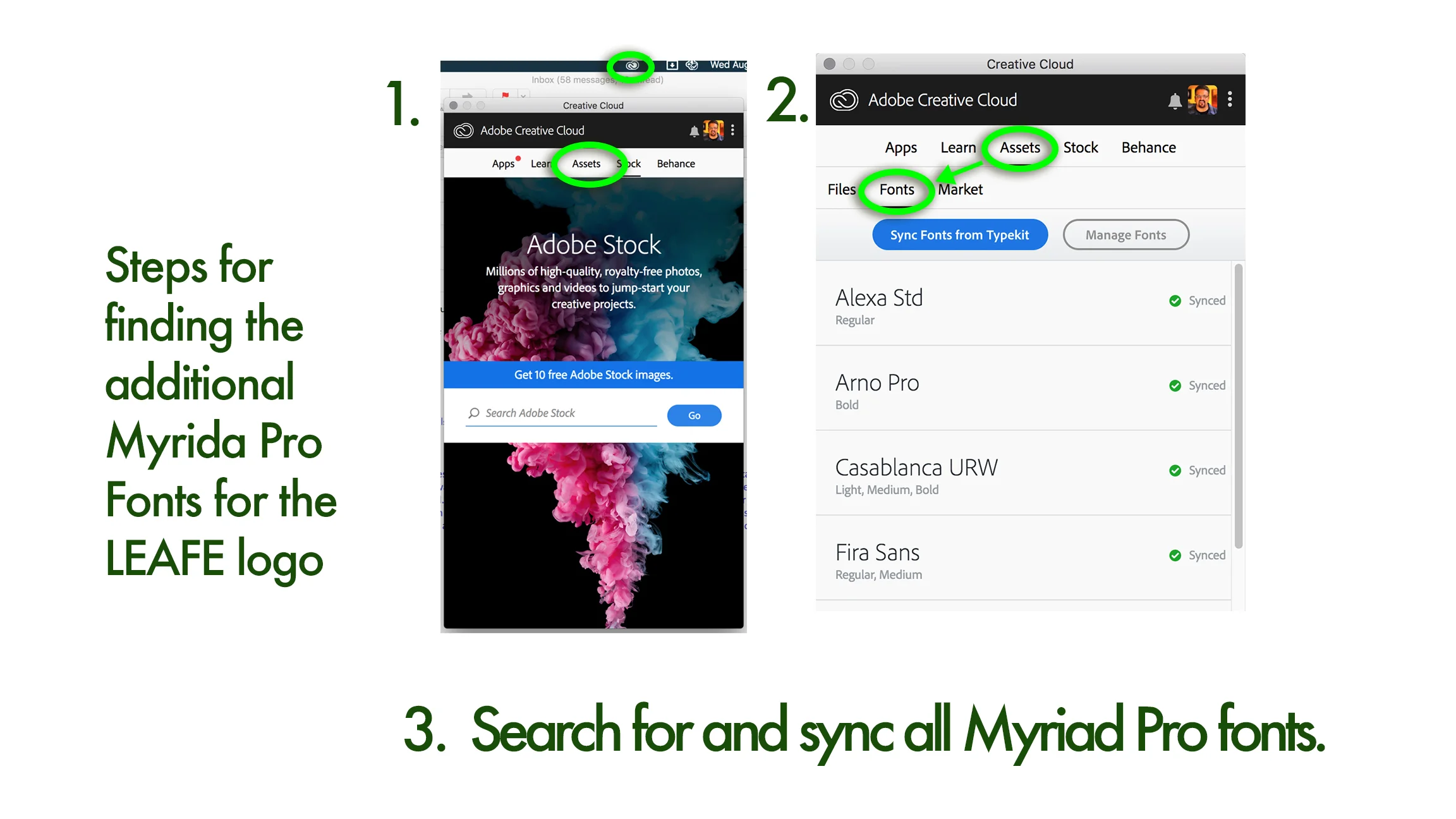 Myriad Pro Steps.jpg