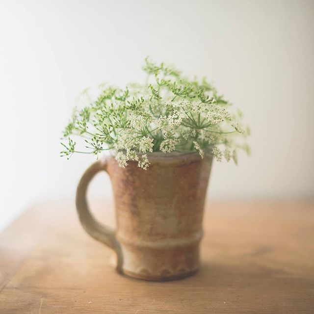 We are collaborating with our friends at Reverie Home Collective to bring you a sweet giveaway: one of our Everyday Diner Mugs! ***TO ENTER***
1. Follow @windyridgepottery & @reveriehomecollective (please don't follow to unfollow, it's such a bummer). 2. Like this photo and answer this: "Coffee or tea?", also, feel free to share how enthusiastically you love your fave one.
3. BONUS: Tag as many friends as you want for a bonus entry per person.
4. Winner will be announced on Monday evening!