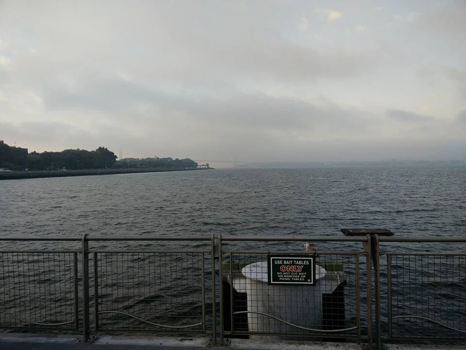 The Verrazano Narrows Bridge, just visible through morning mist before the race.