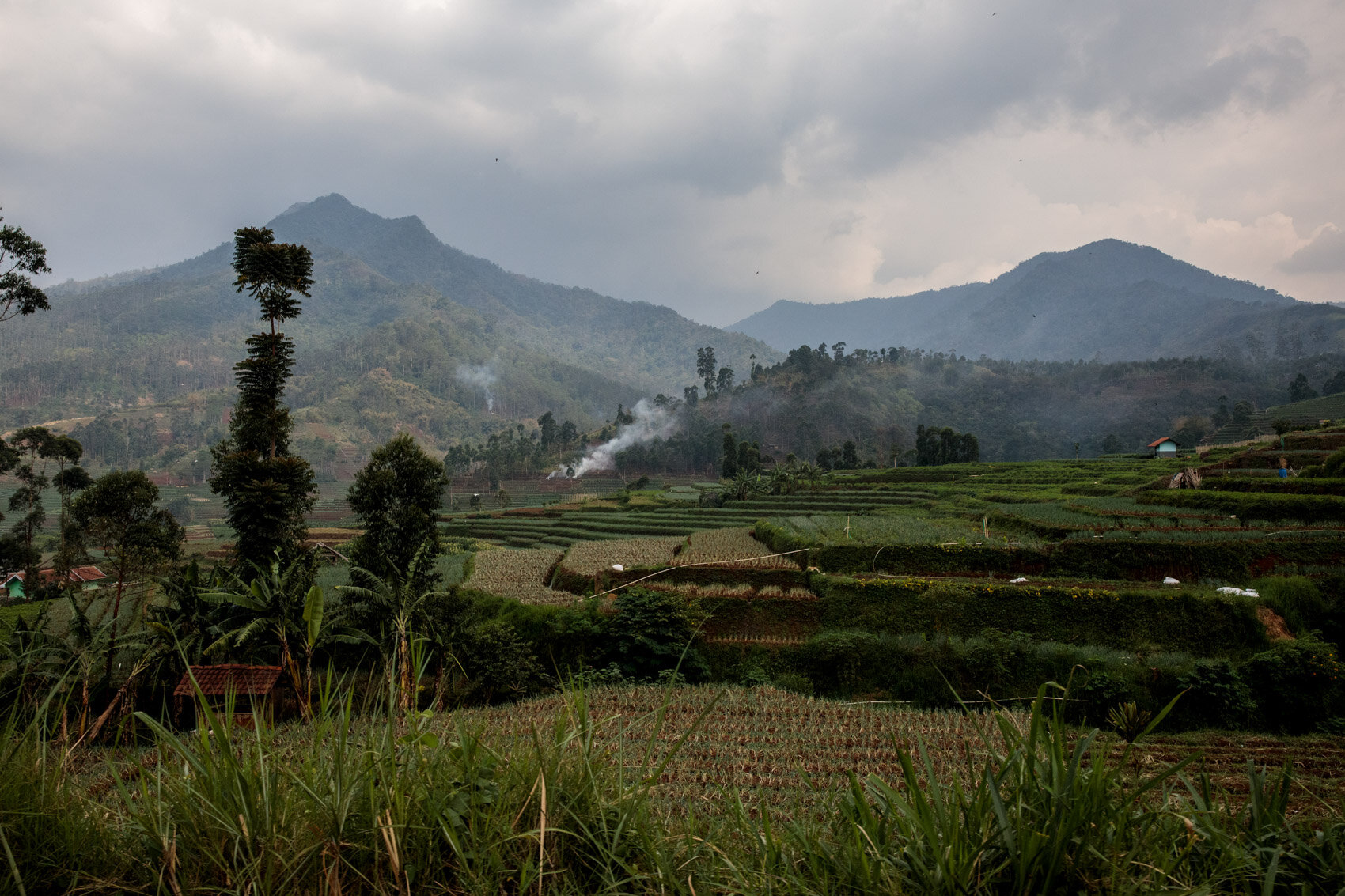  BANDUNG, INDONESIA: Farm land is pictured by the source of the Citarum River, Cisanti on November 24, 2019 in Java, Indonesia. 