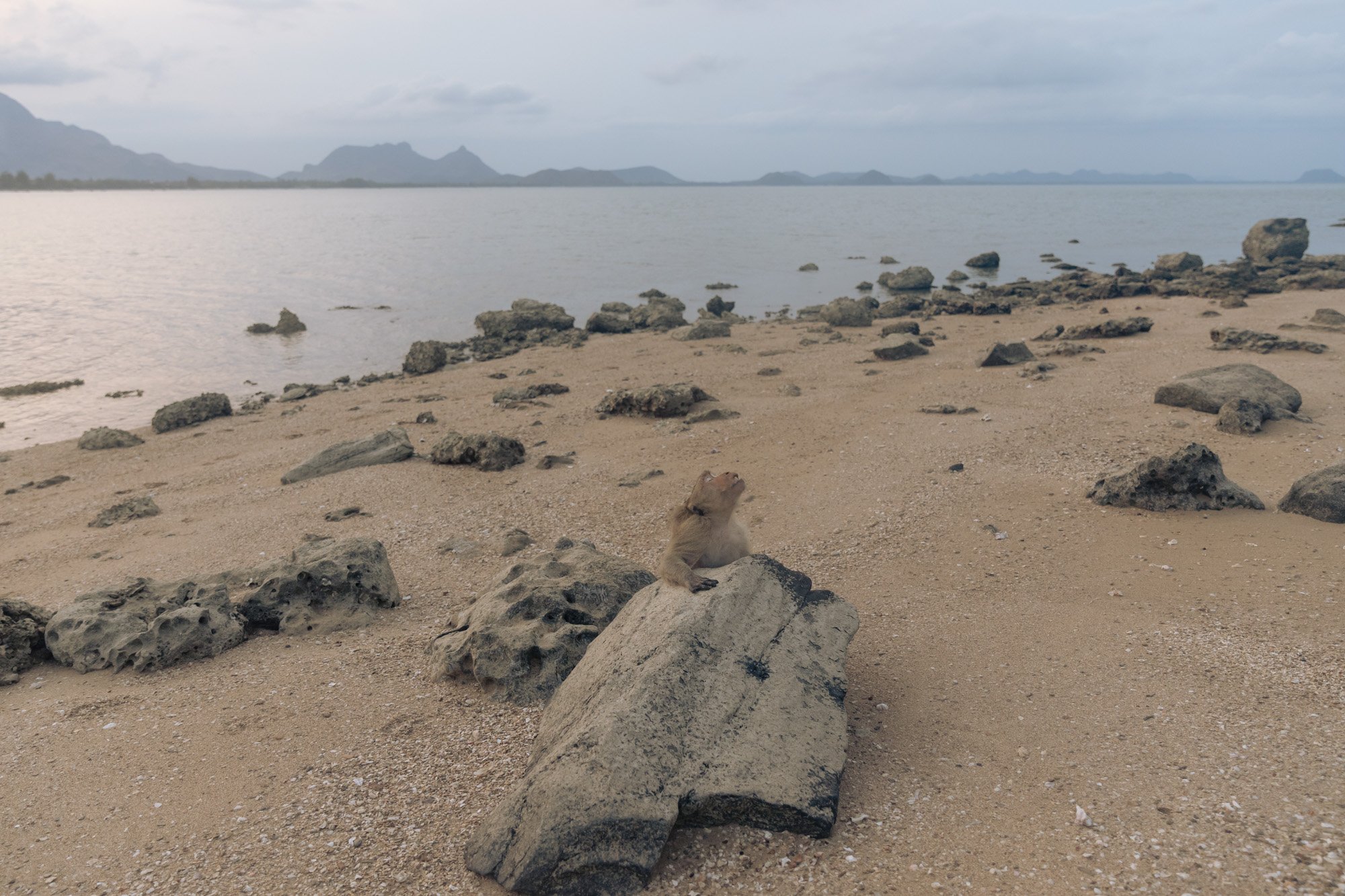  Koh Ko Ram, Prachuap Khiri Khan, March 15, 2020. 