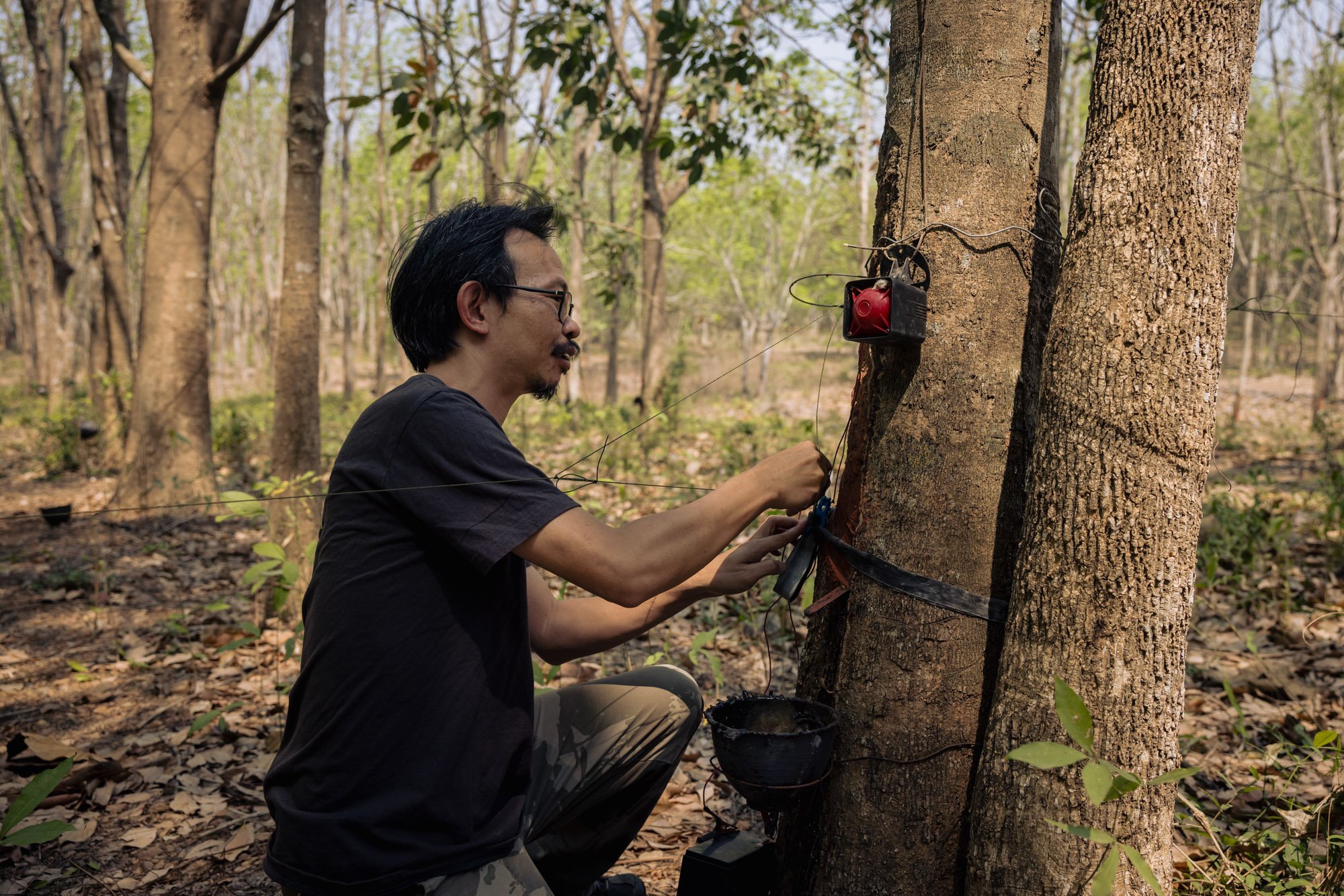  Taan Wannagul, researcher for the Eastern Elephants Education Center resets an alarm, used to notify park rangers of elephant movement in a forest in Chachoengsao, Thailand. 