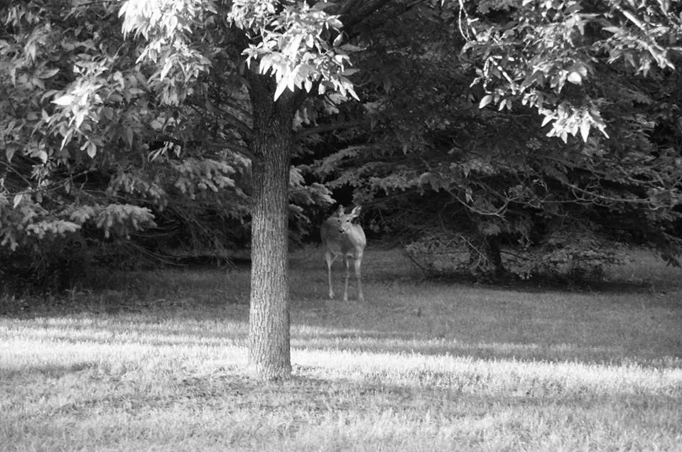 Feeling Lost in Life