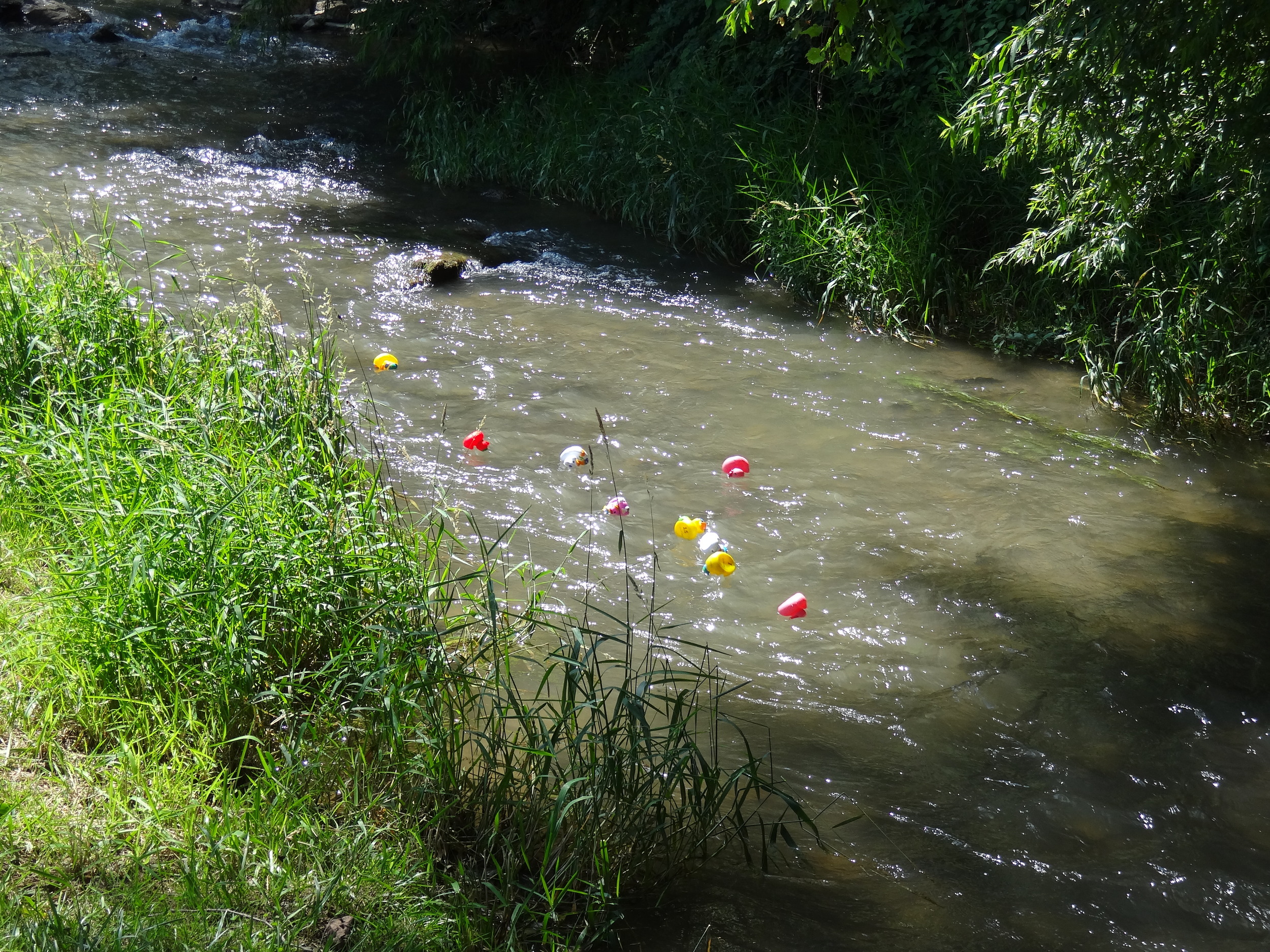 DSC00224.JPG
